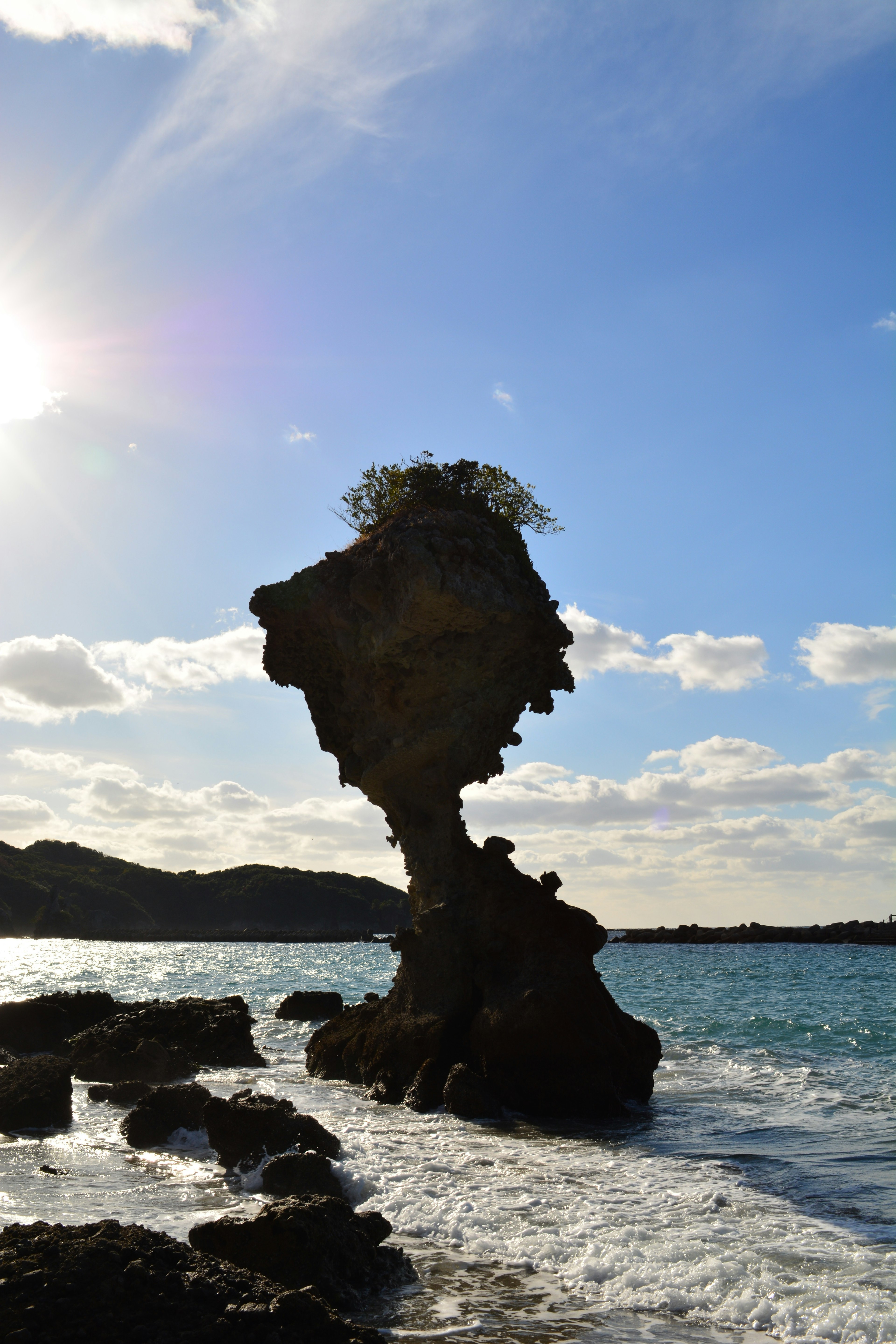 海に立つユニークな形の岩とその上の小さな木と青空