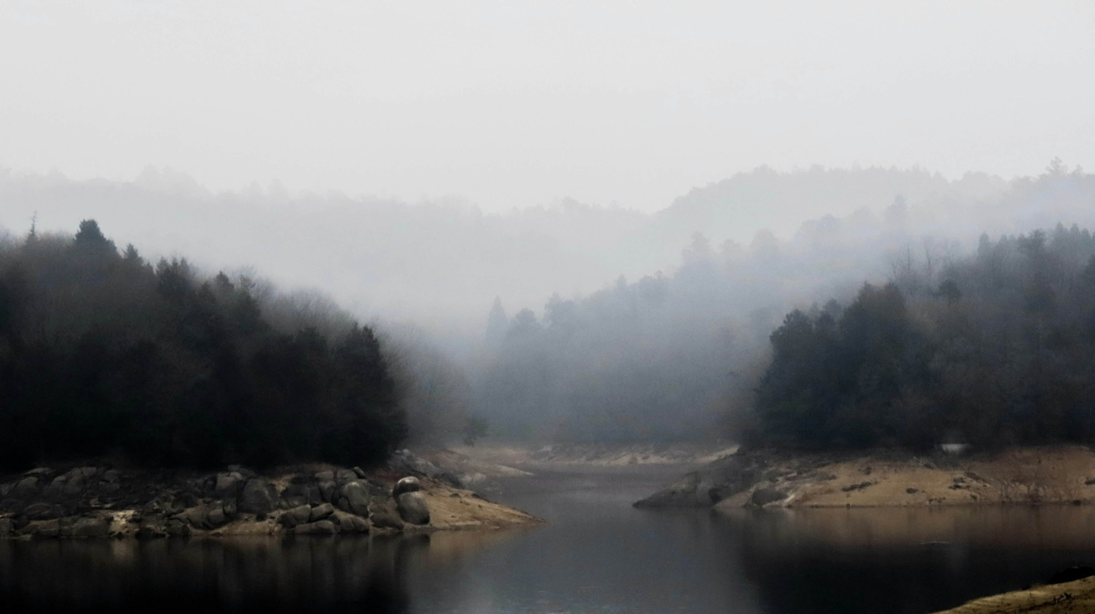 Paesaggio fluviale nebbioso con alberi e rive rocciose