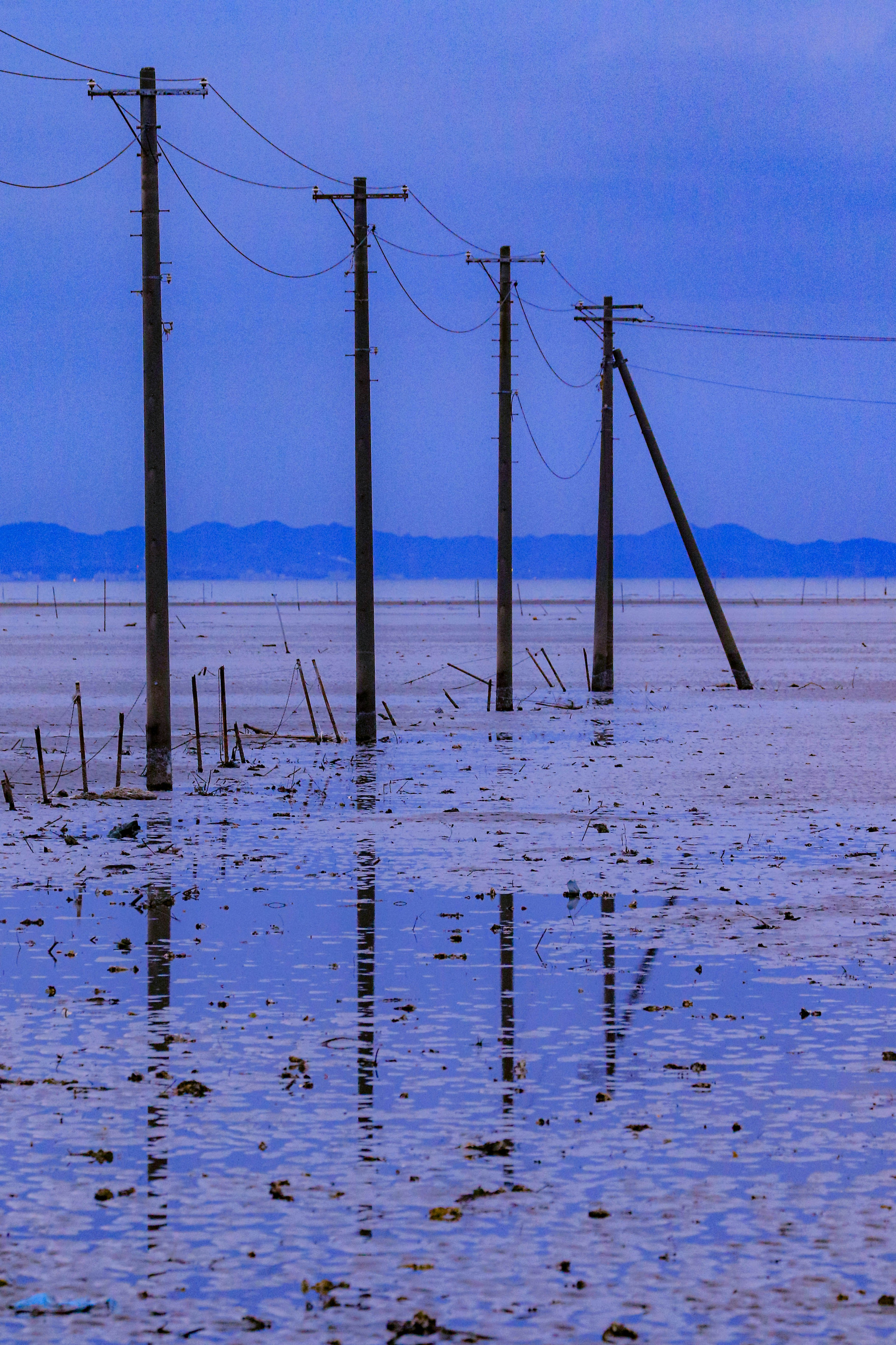 Reihe von Strommasten, die sich im blauen Wasser spiegeln, mit fernen Bergen