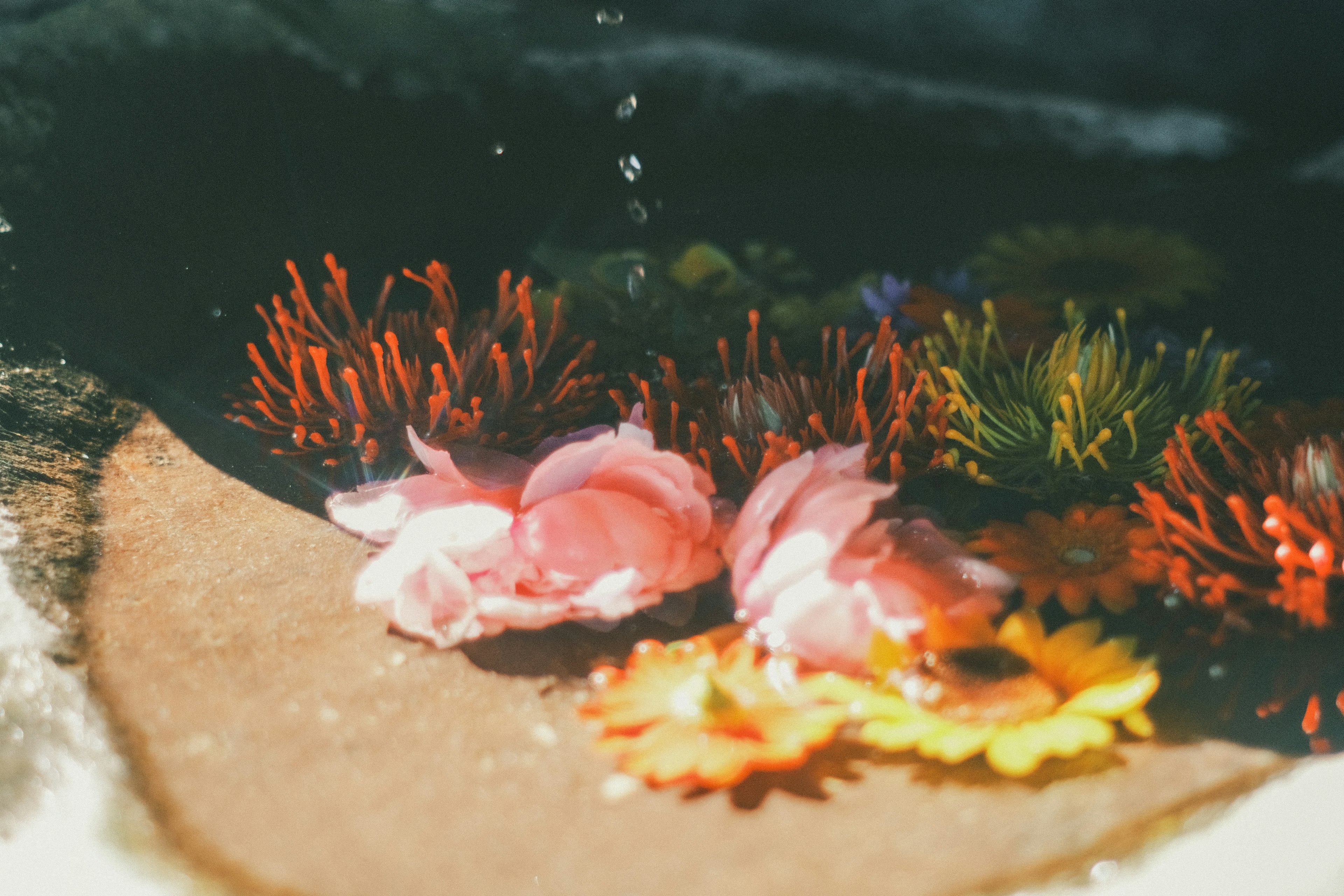 Bunte Blumen und Pflanzen, die auf der Wasseroberfläche schwimmen