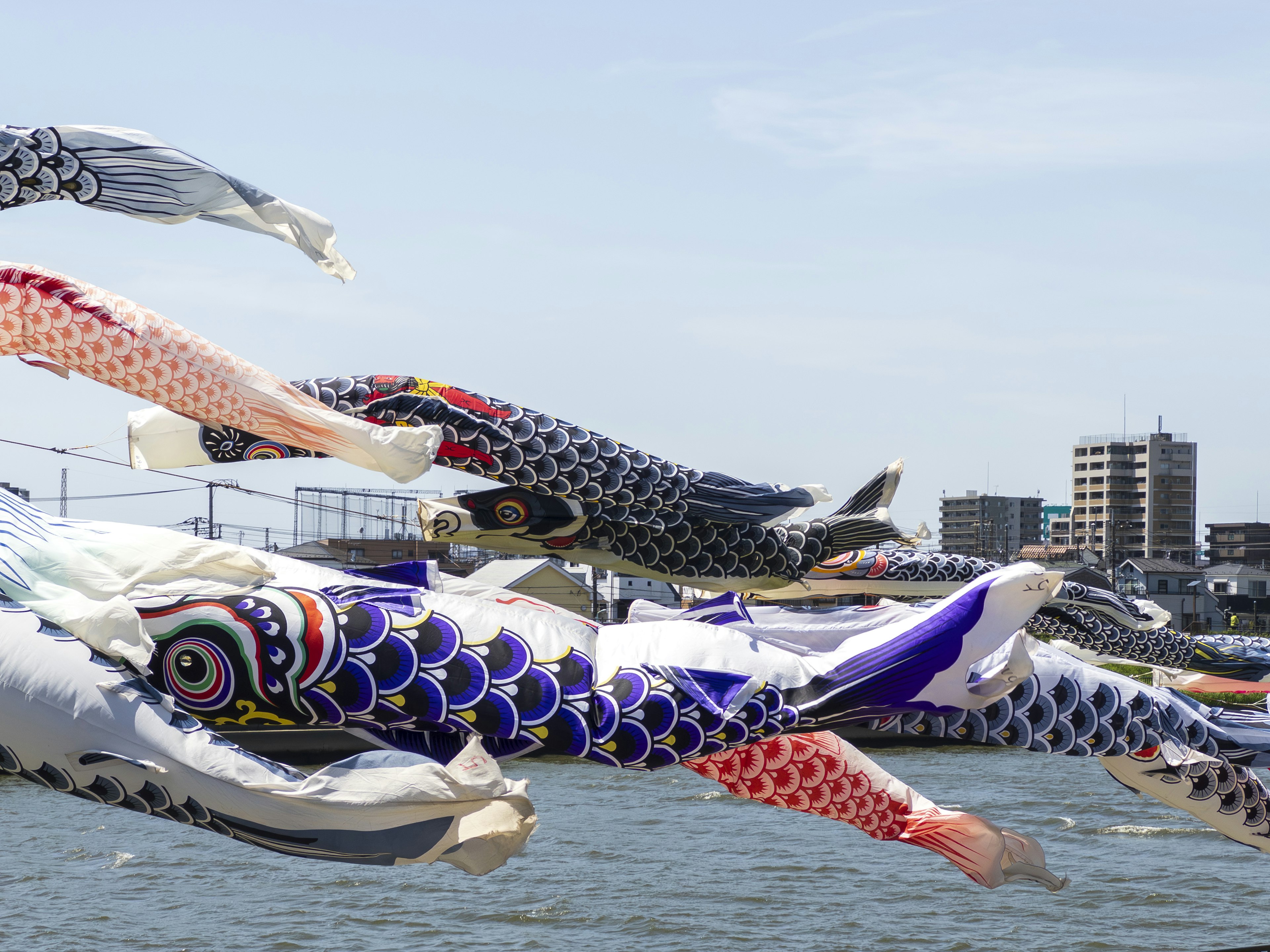 Colorful koi nobori decorations swimming above the river