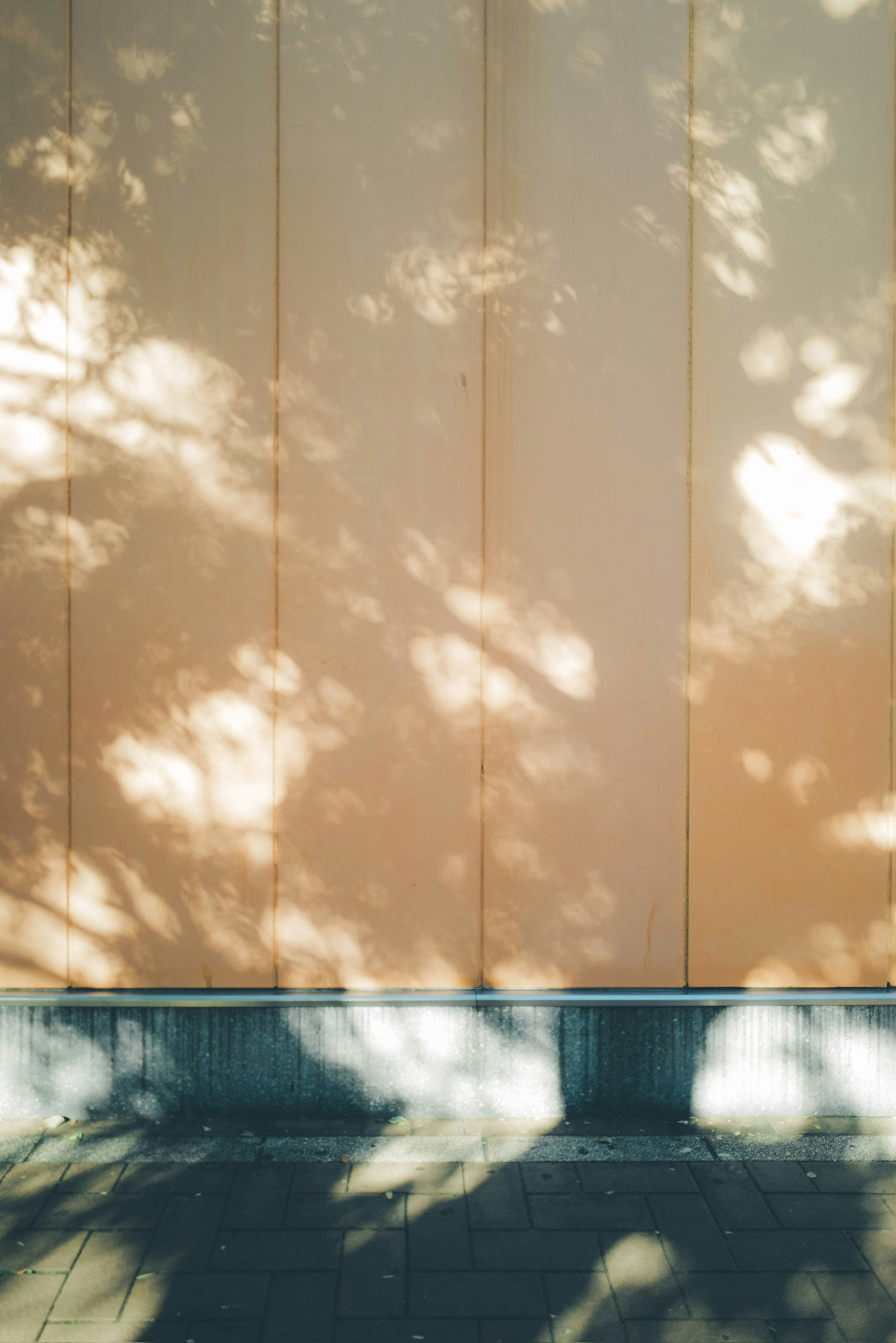 Image of a soft shadow cast on an orange wall