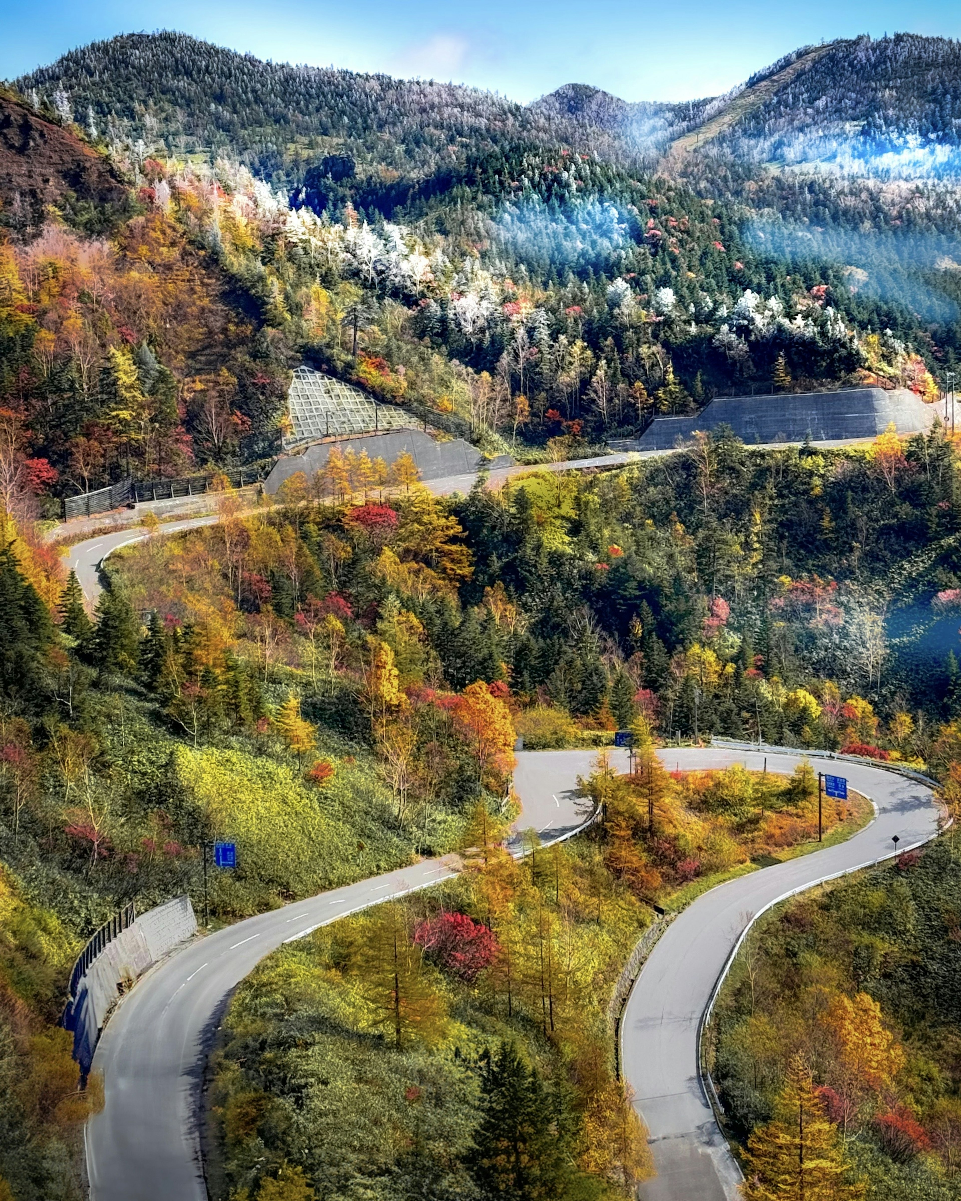 蜿蜒的道路穿过生机勃勃的秋季树叶和山脉