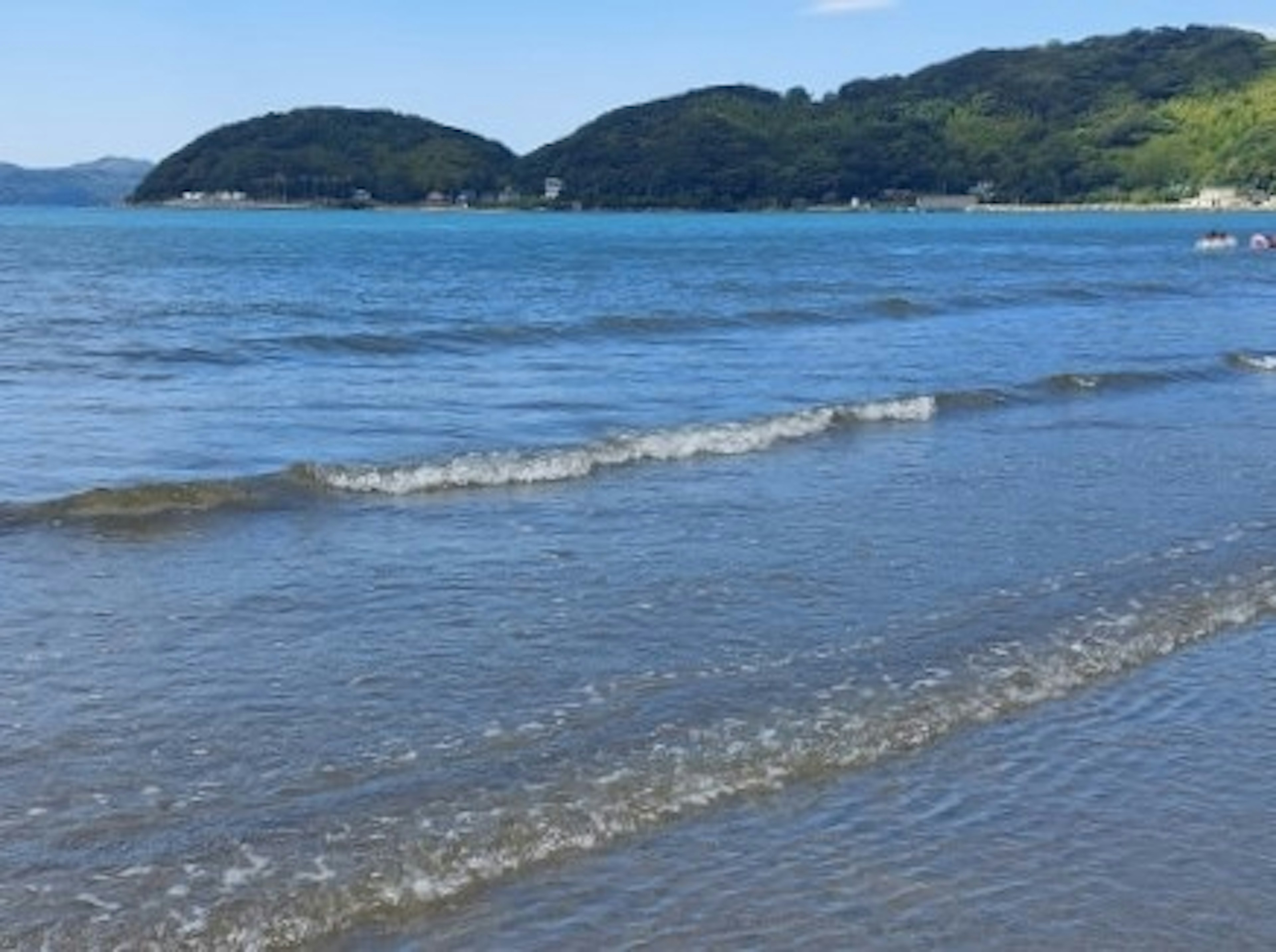 고요한 바다 전망 파란 하늘 부드러운 파도가 모래 해변에 부딪히고 있는 녹색 언덕 배경에