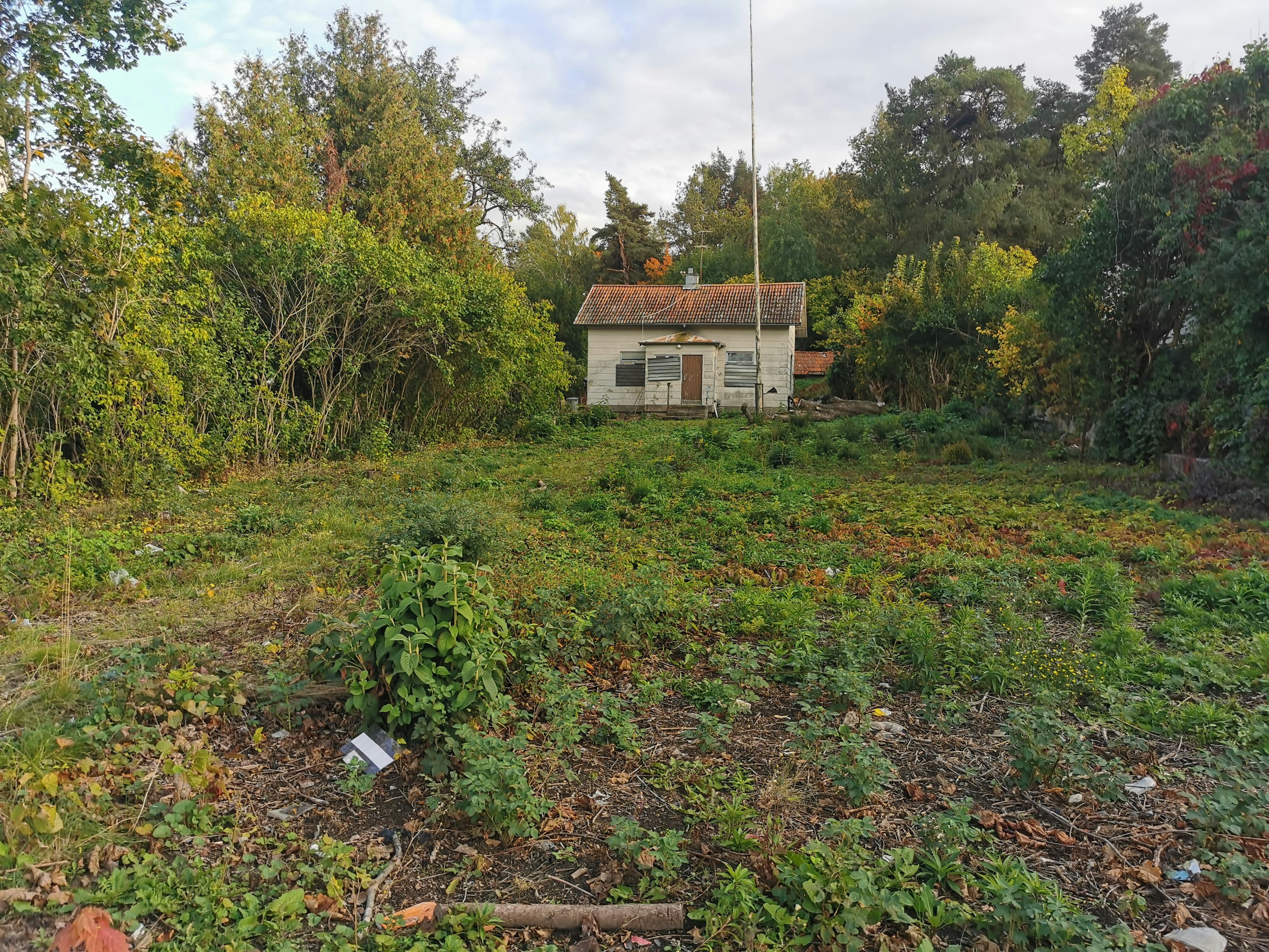 Paysage avec une vieille maison entourée de végétation verte