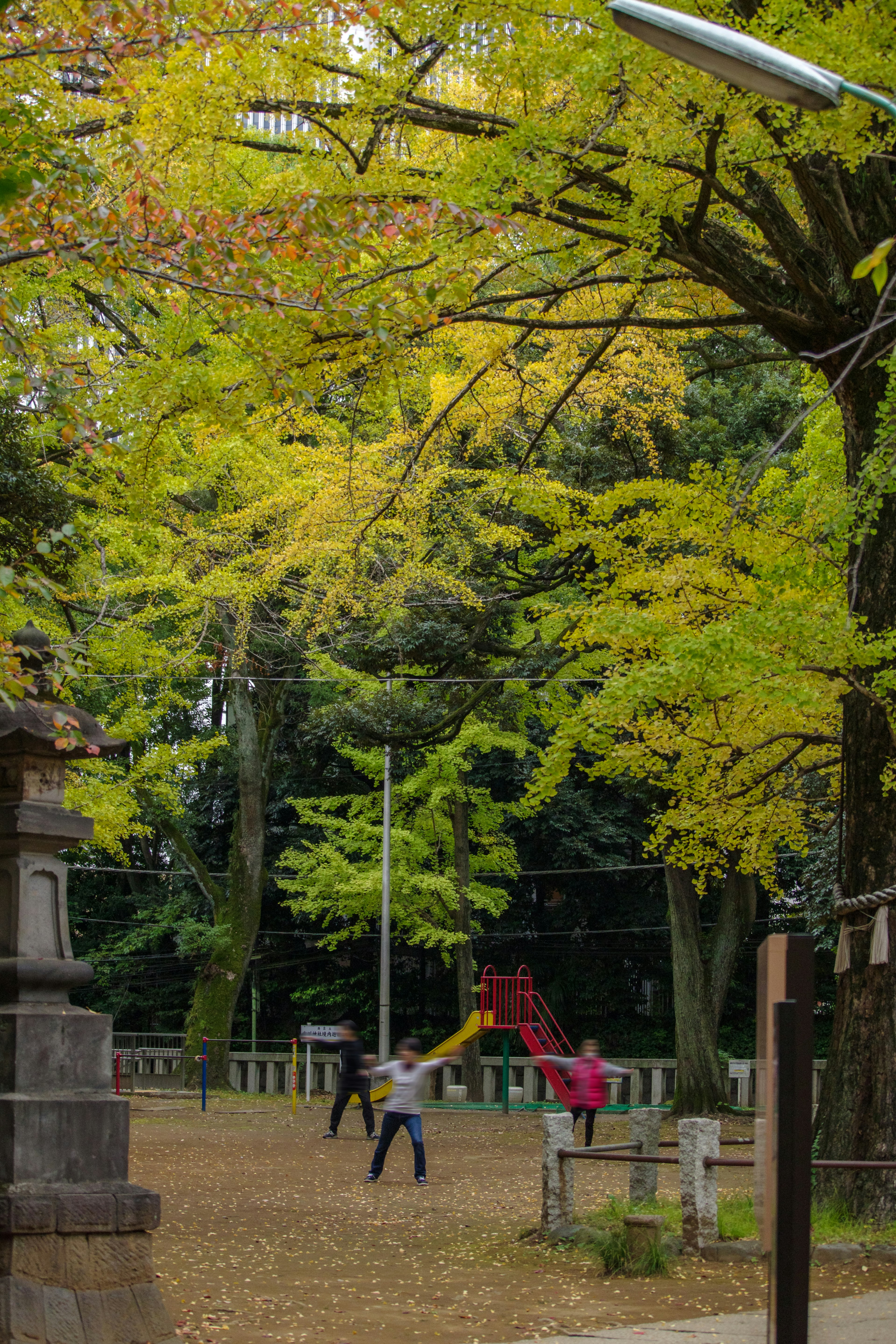 Bambini che giocano in un parco con alberi colorati