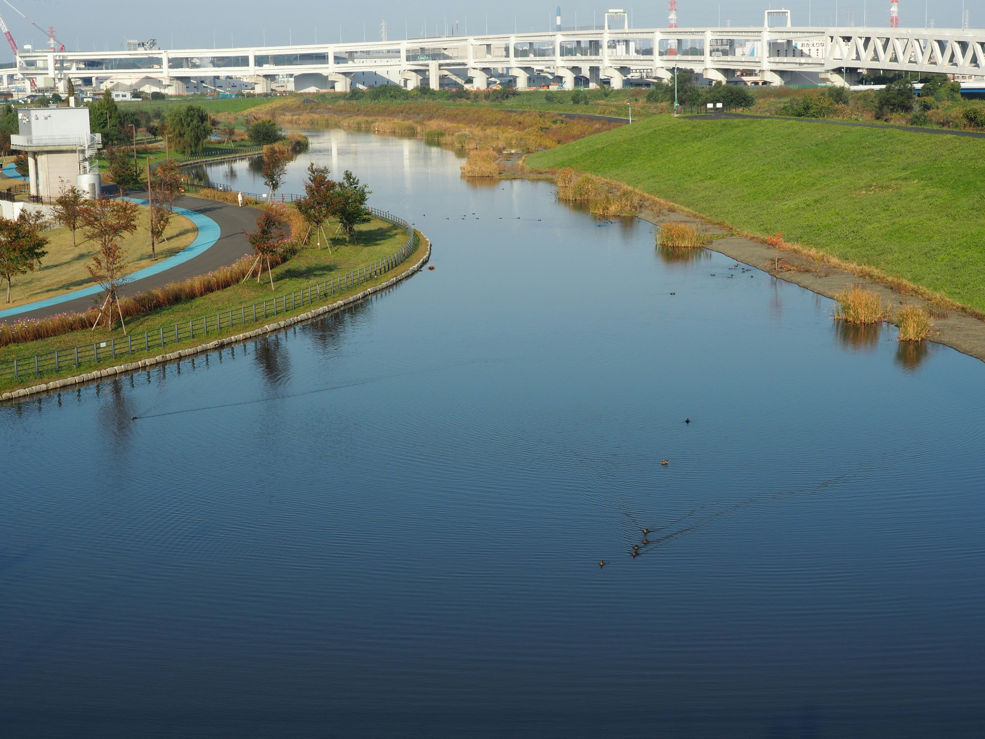 Superficie de agua serena con pradera verde cercana que presenta un puente y árboles