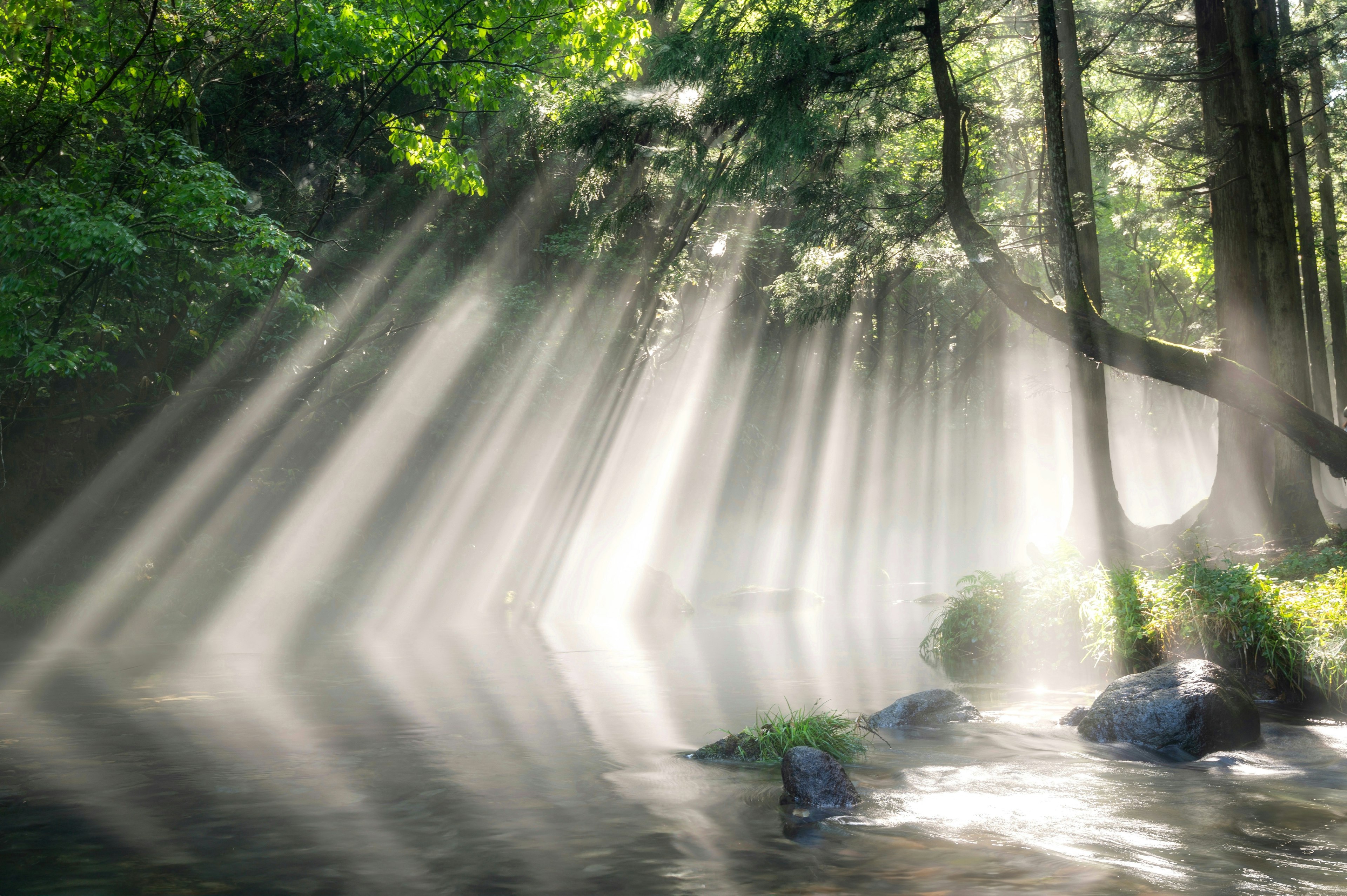 Schöne Szene mit Lichtstrahlen, die durch den Nebel über einem Fluss scheinen