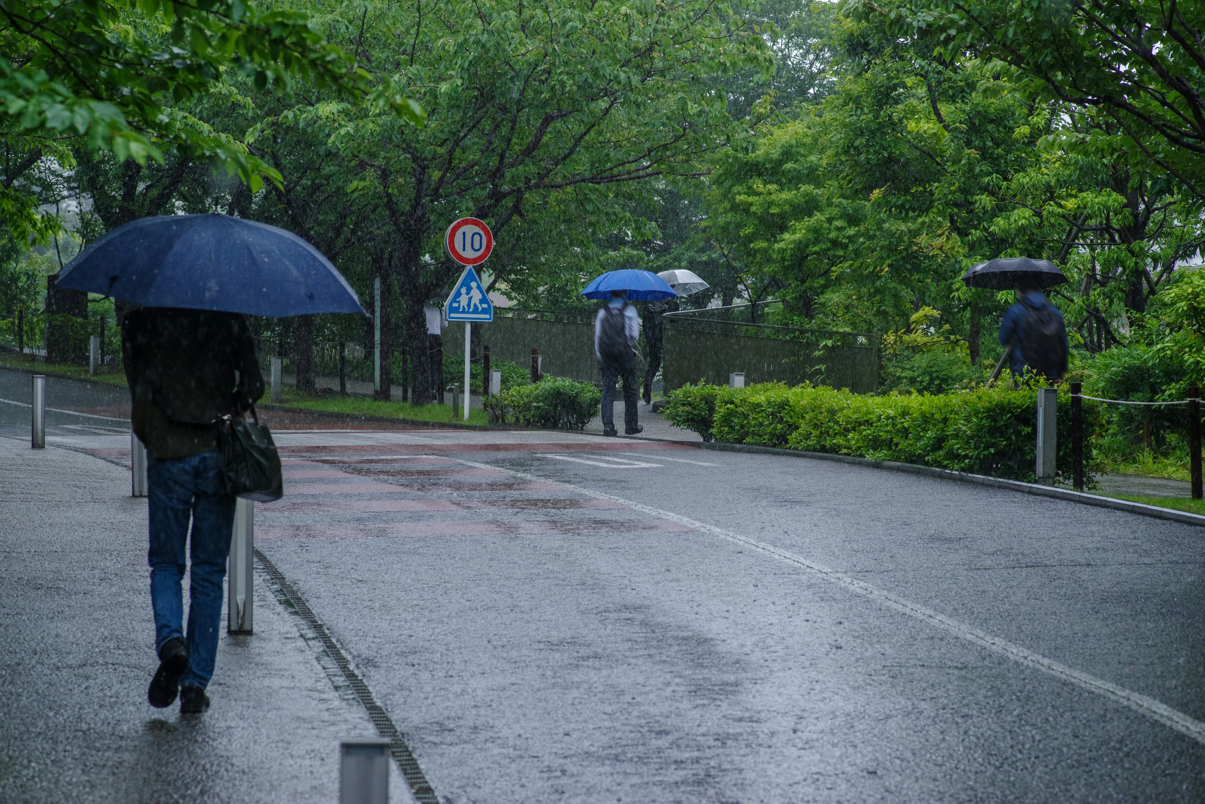 Personas caminando con paraguas en una calle verde bajo la lluvia