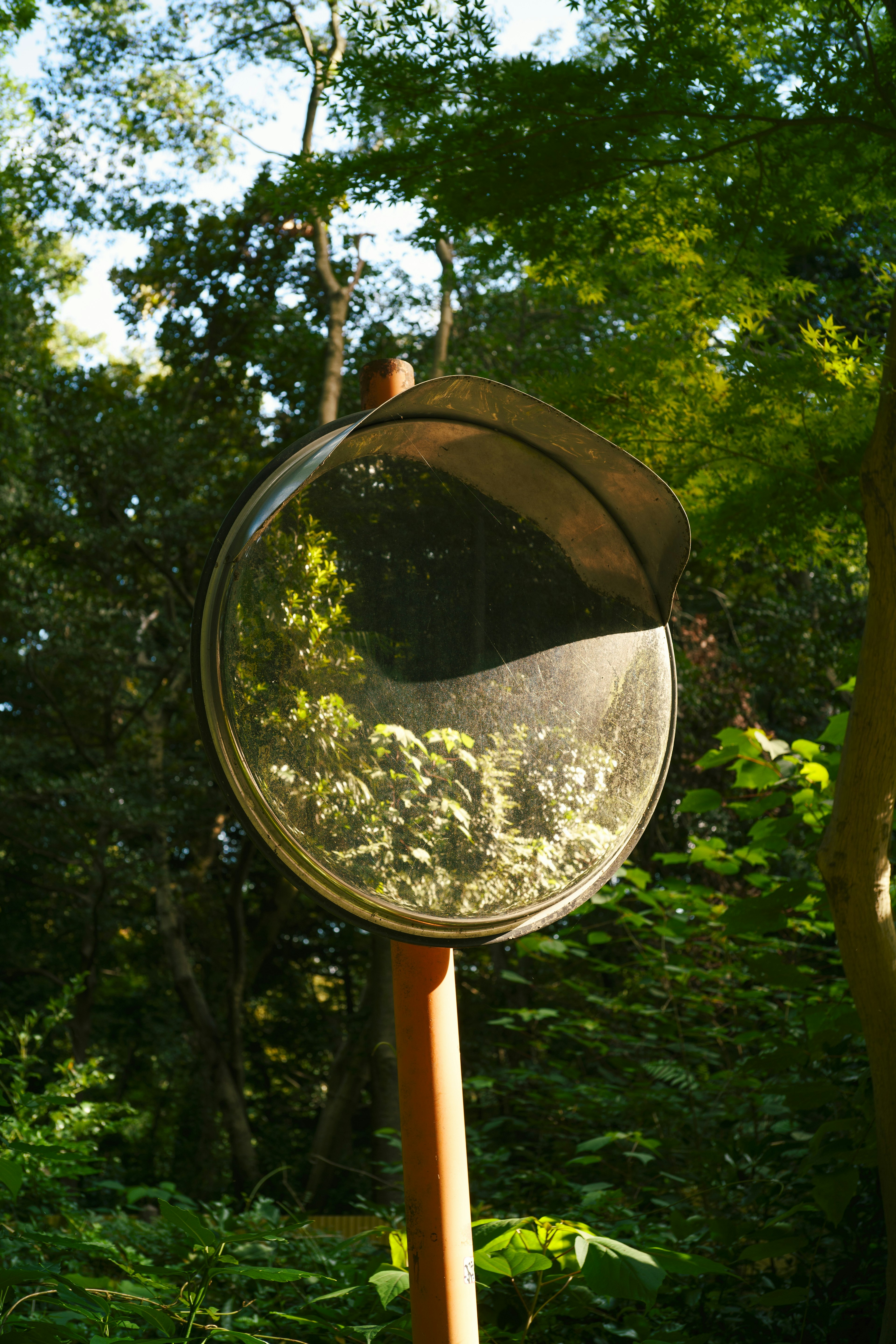 Metal mesh object resembling a net in a garden setting