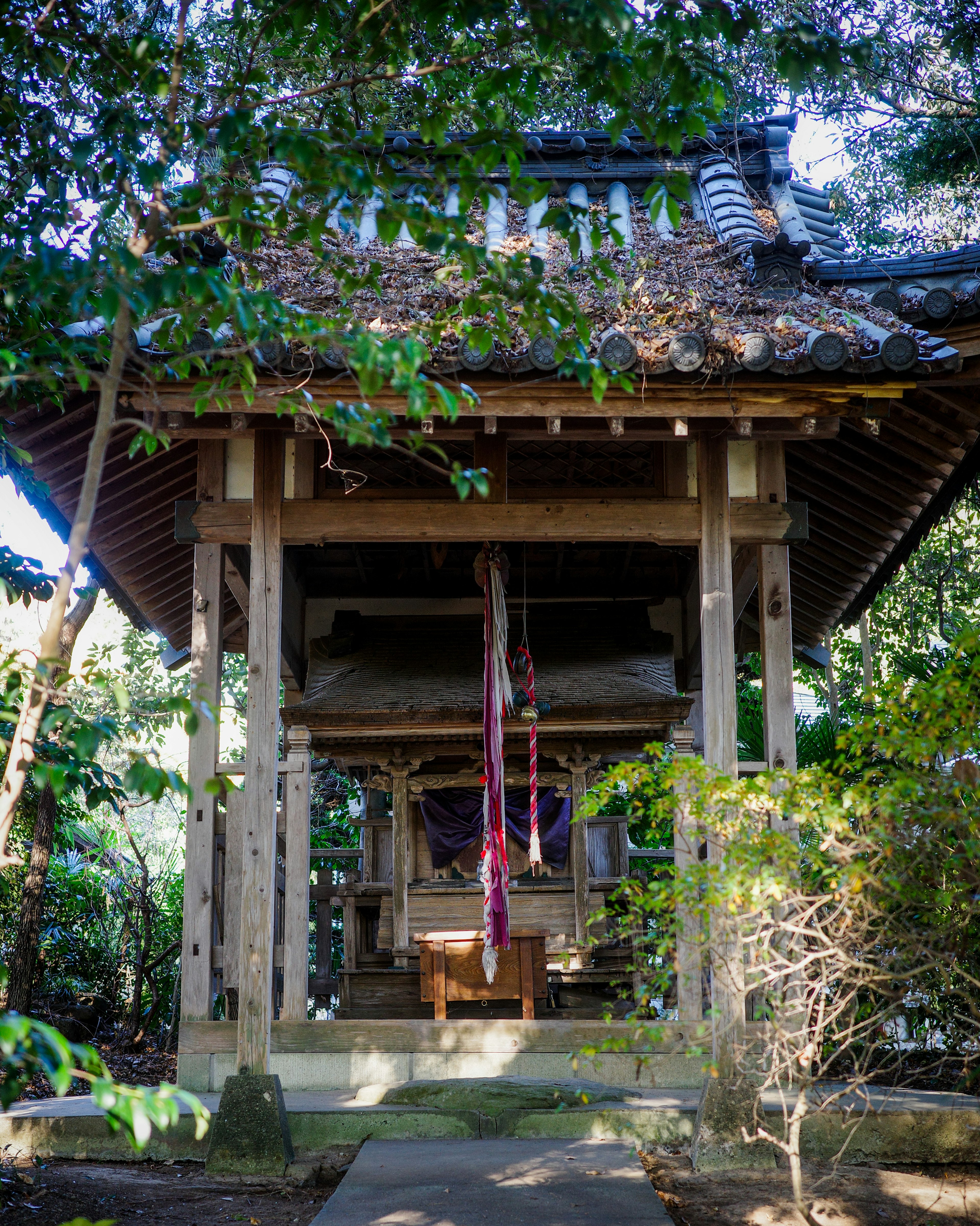 静かな森の中にある伝統的な日本の神社の建物