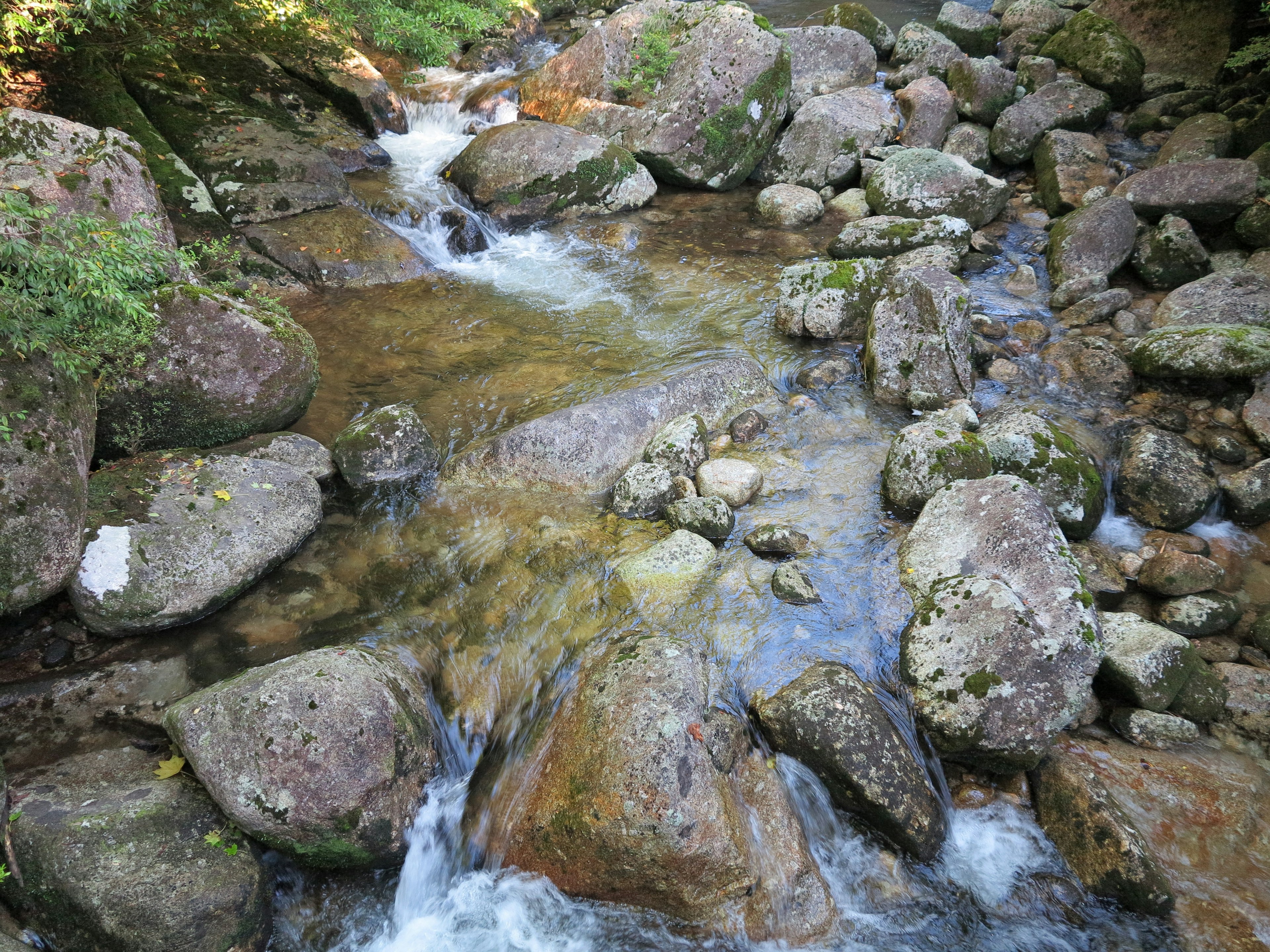 A serene stream flowing over large rocks in a natural setting