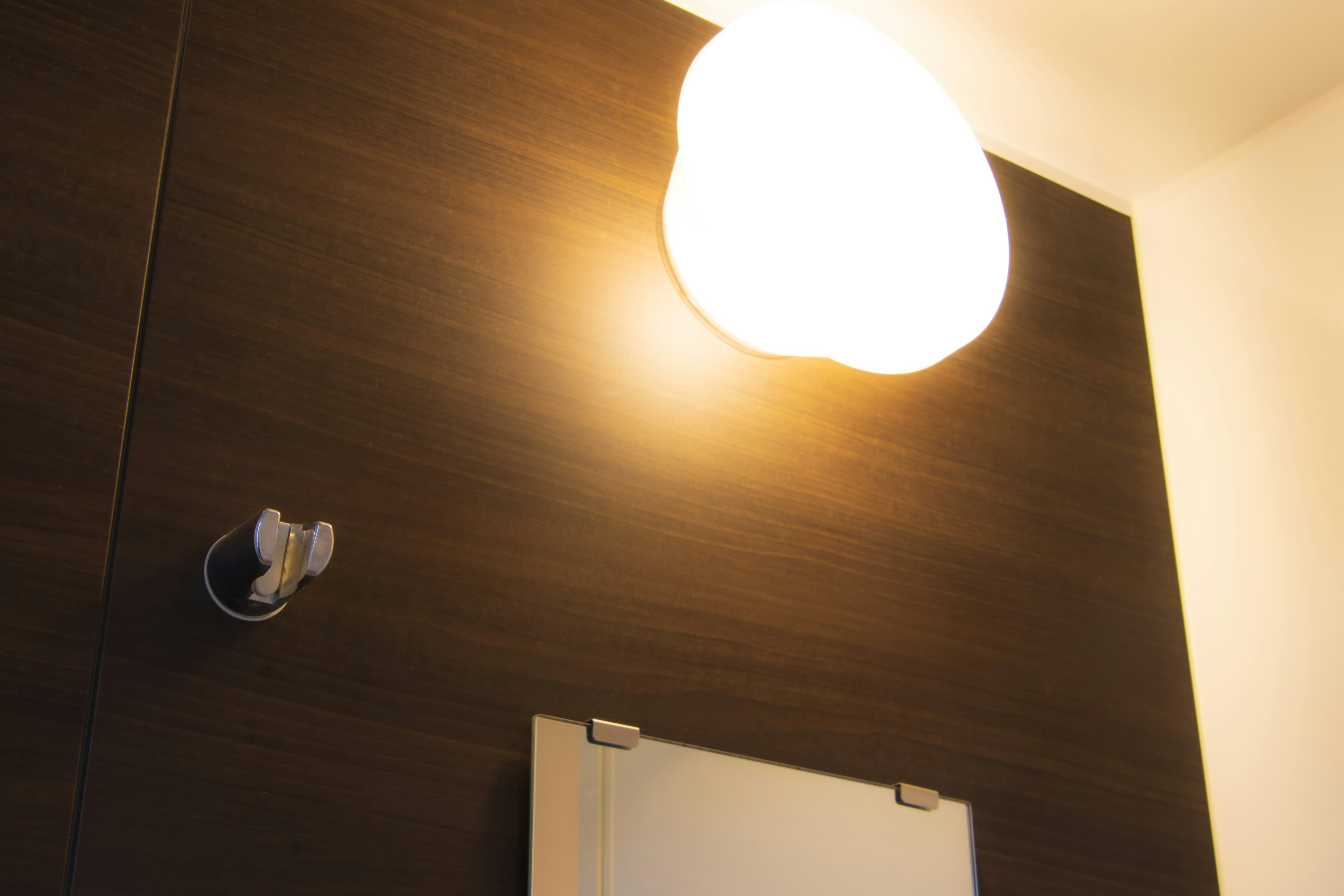 A corner of a simple bathroom featuring a round light fixture and a mirror against a dark wood wall