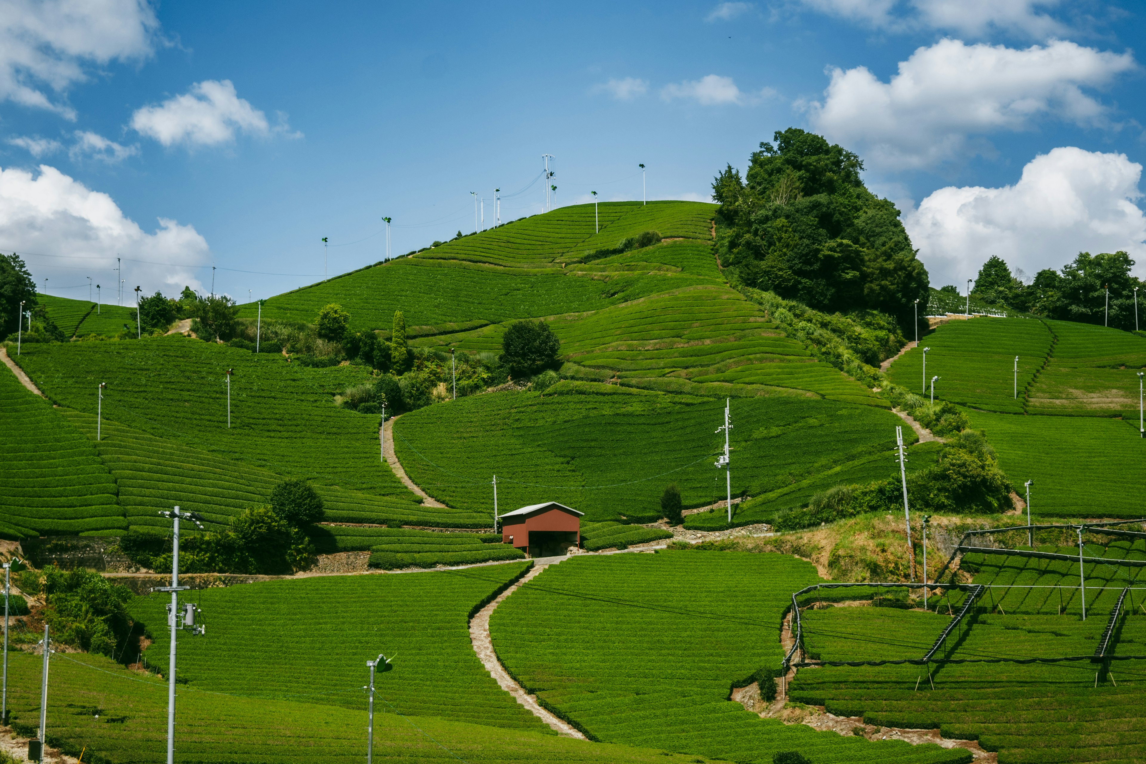 Malersiche Aussicht auf grüne Hügel mit blauem Himmel gewundene Wege und Strommasten