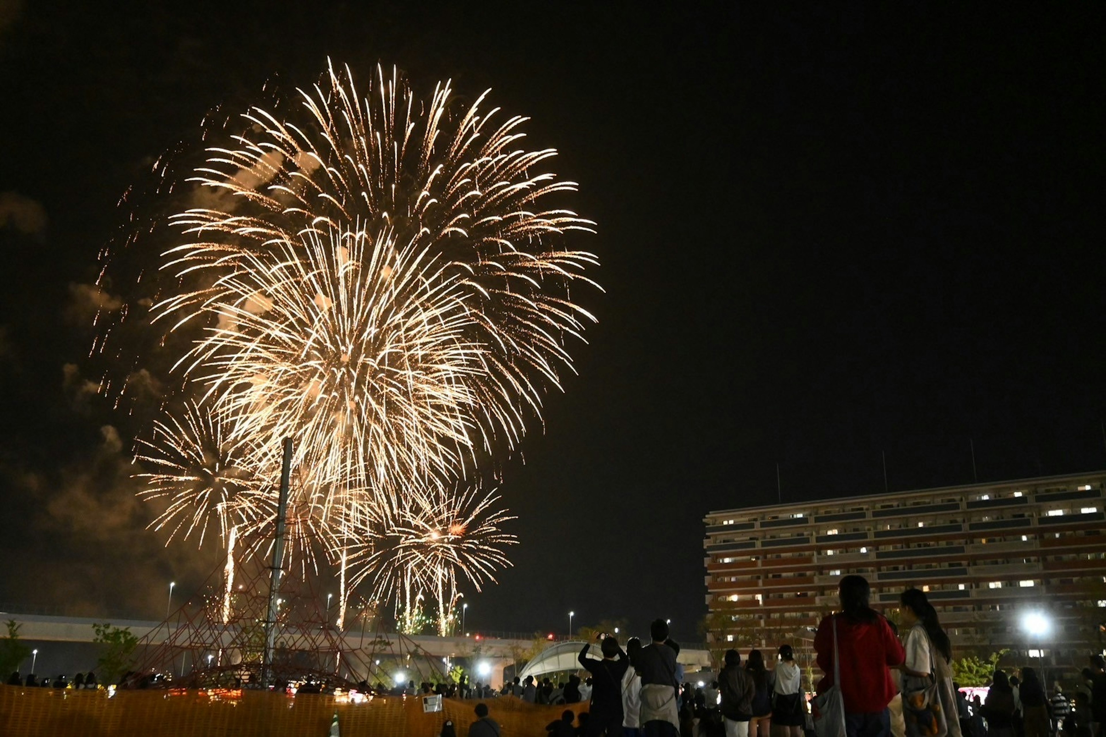 夜空に輝く花火と観客たち