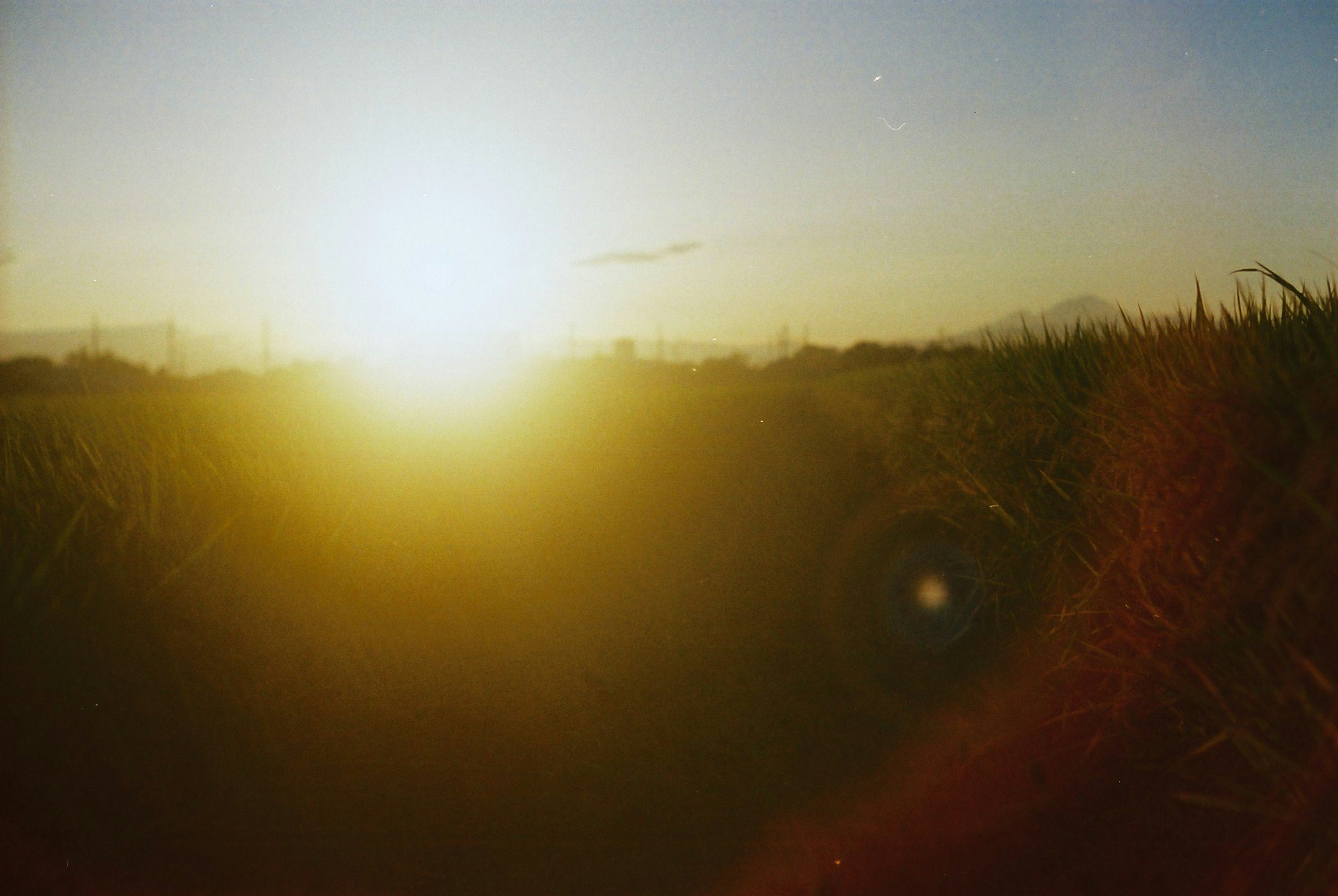 Sunset illuminating a landscape with silhouettes of grass