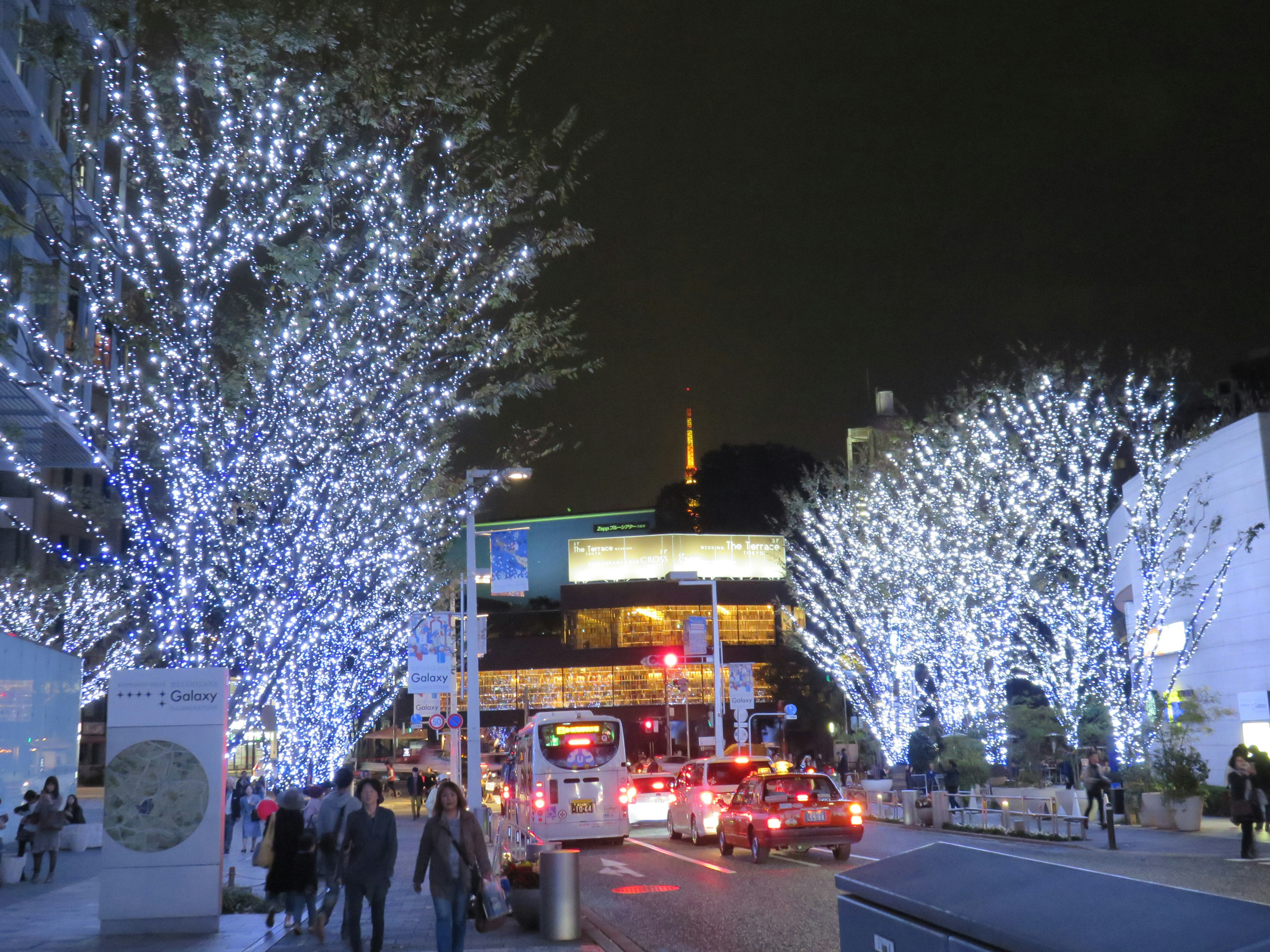 Árboles adornados con luces brillantes en azul y blanco en una escena nocturna de la ciudad