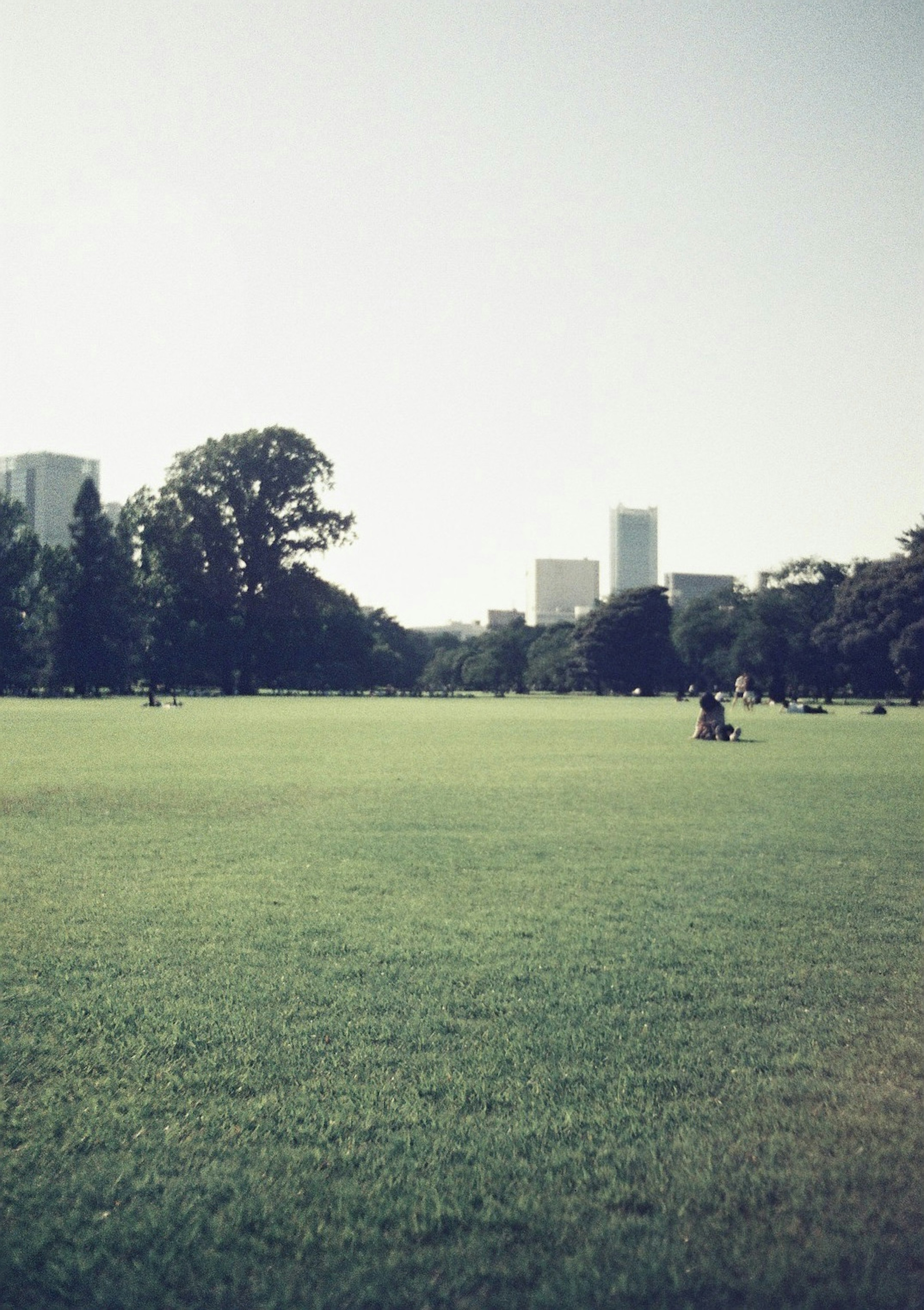 Expansive green park with a skyline of tall buildings in the background