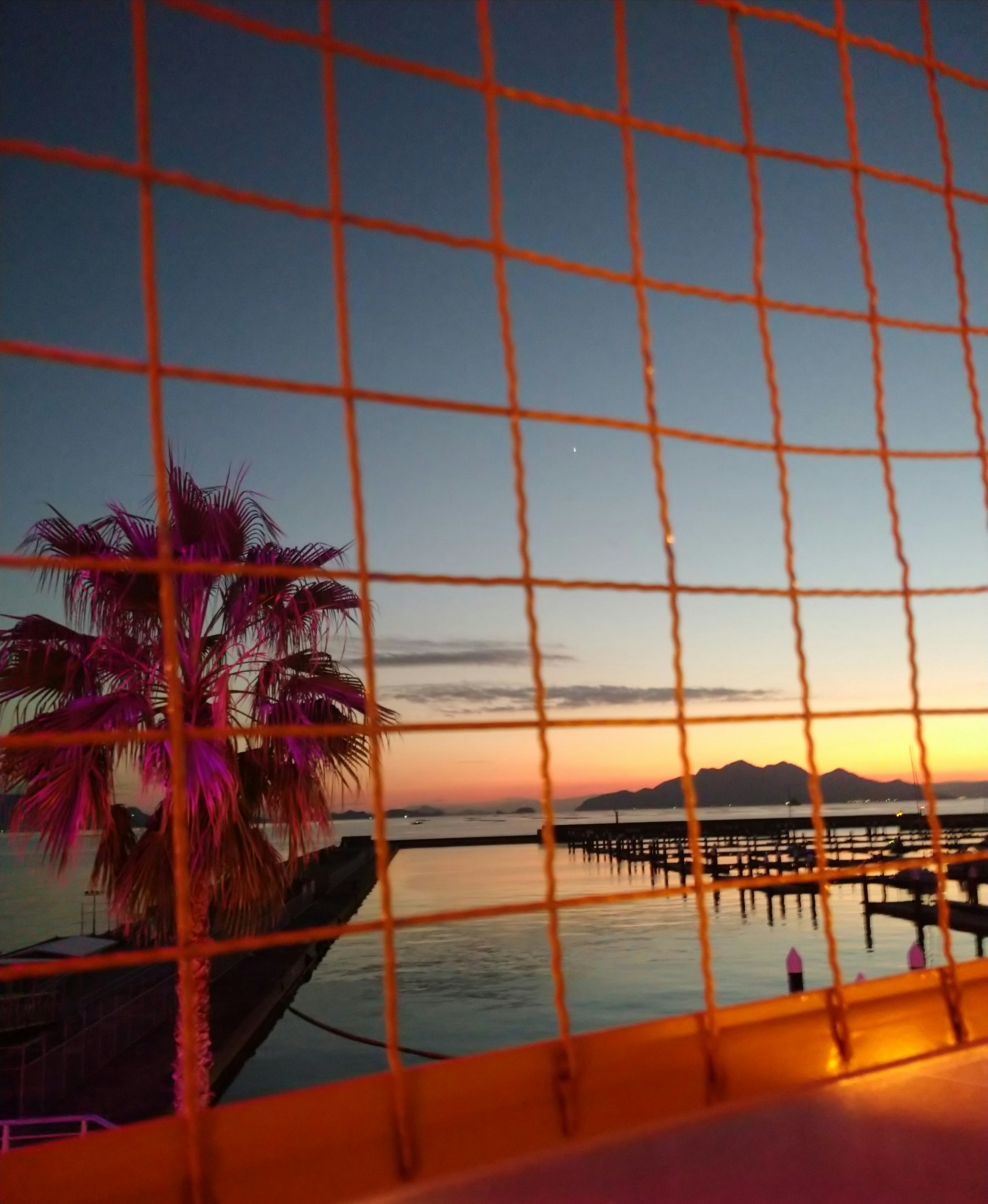 Una vista de un atardecer sobre el mar con una palmera vista a través de una reja