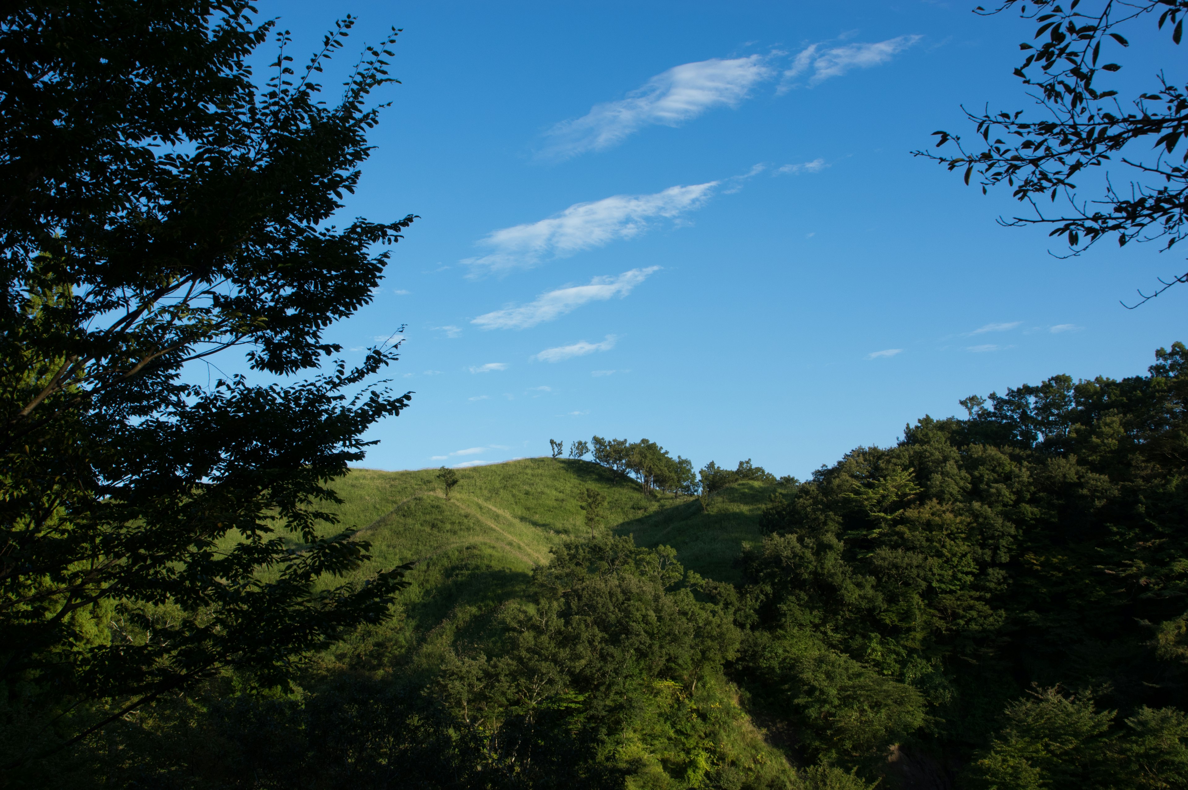 Paysage avec des collines vertes sous un ciel bleu