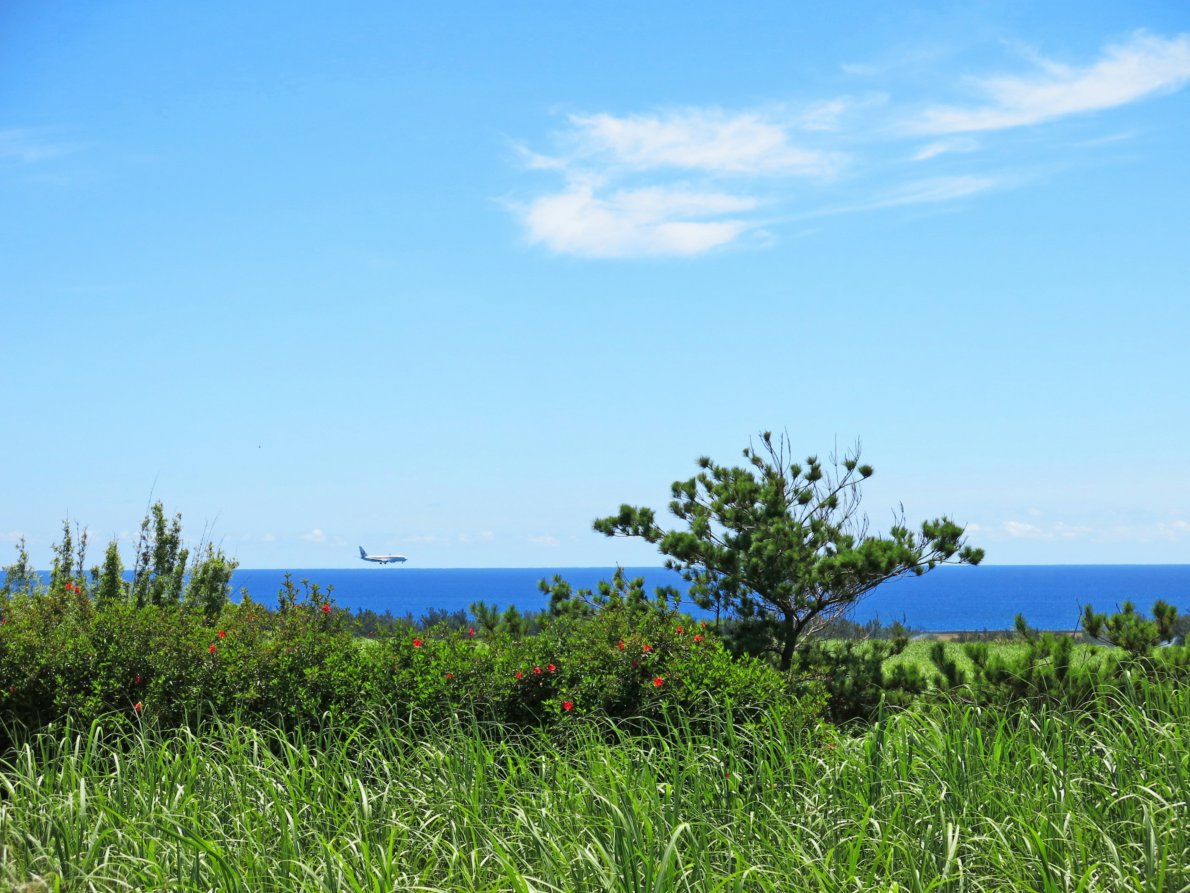 青い空と海に囲まれた緑の草原の景色 船が遠くに見える