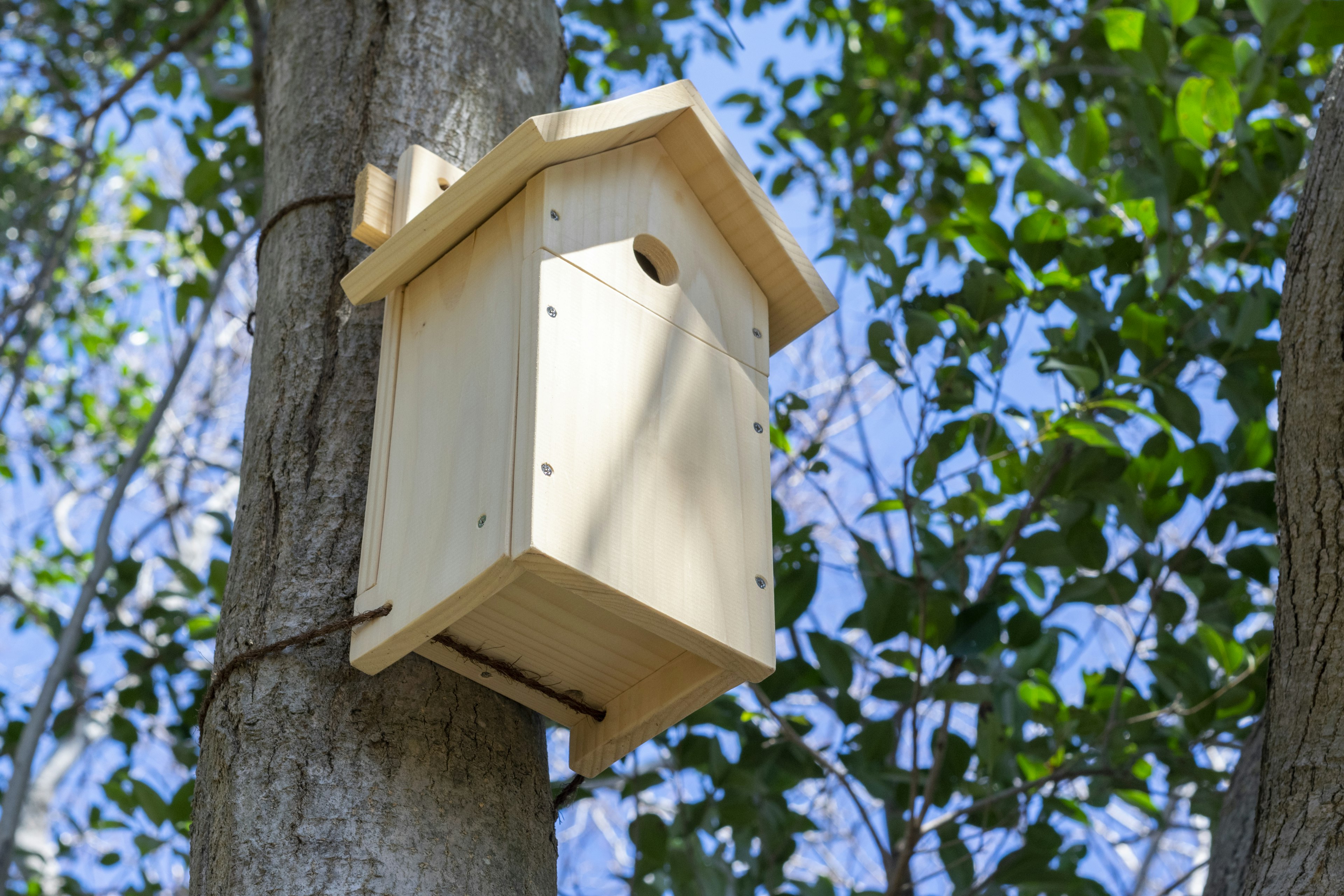 Einfaches Vogelhaus an einem Baum angebracht umgeben von grünen Blättern