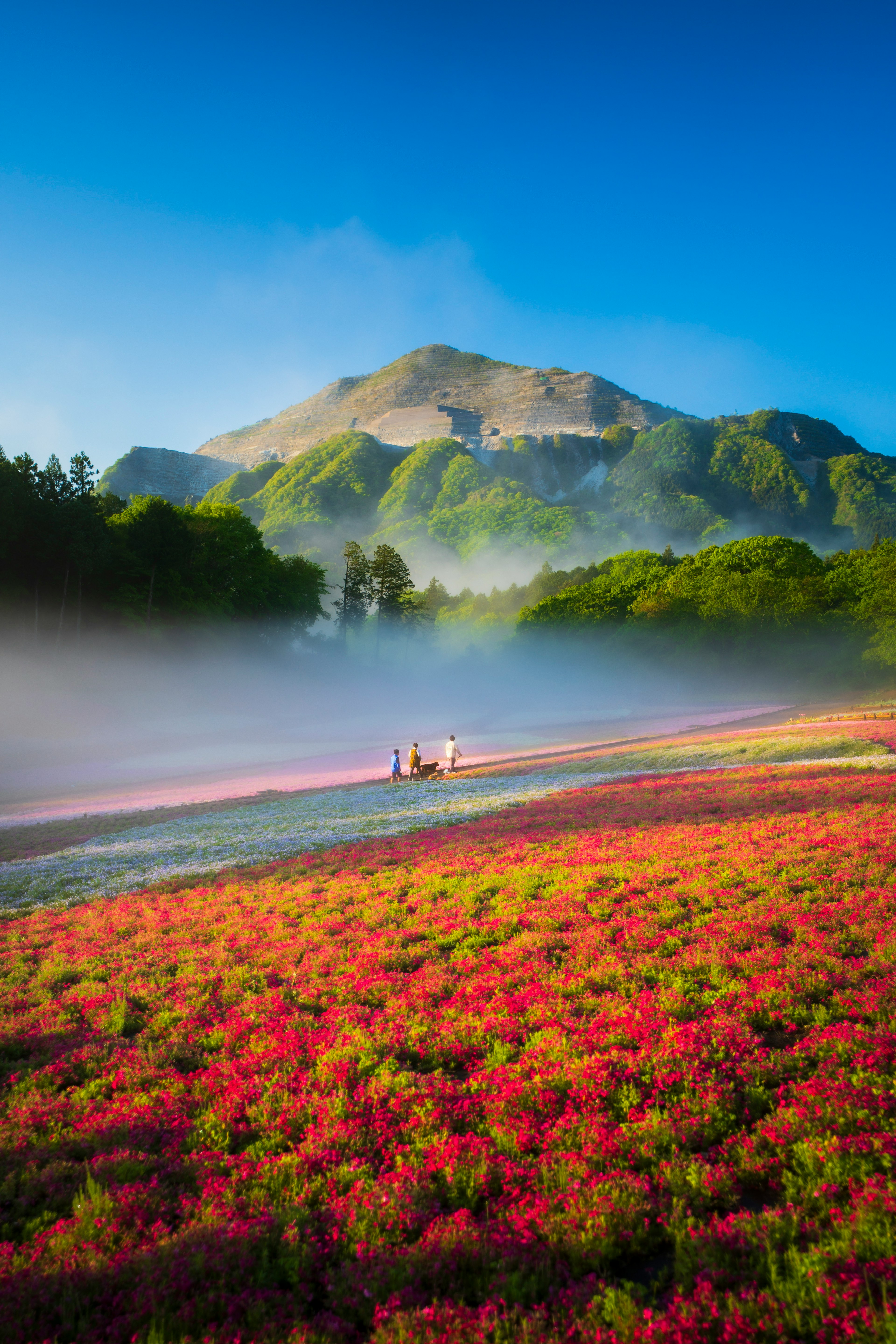 photo-AxrP8q0HA7QbupAoffbv-image