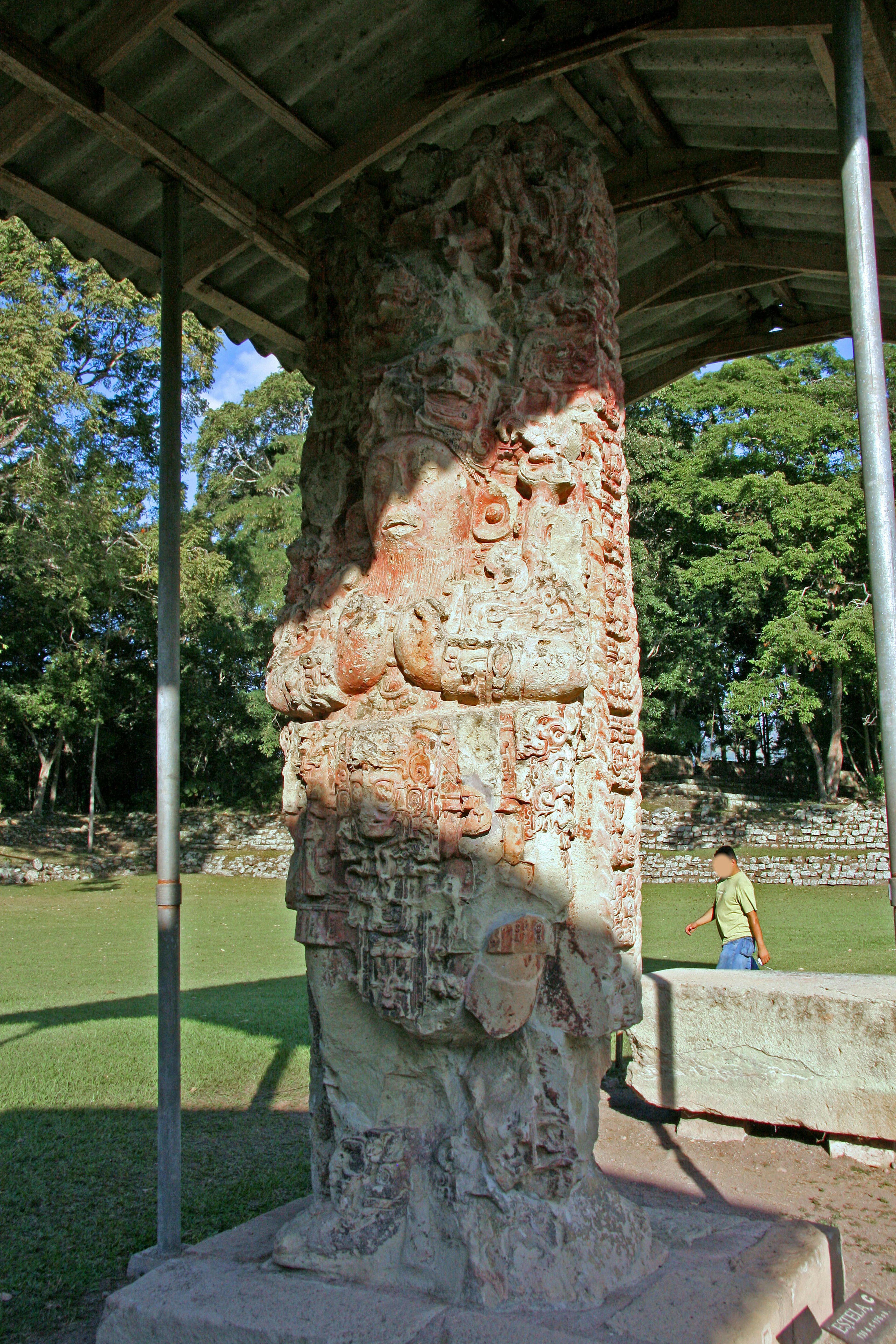 古代の石柱が展示されている遺跡の風景