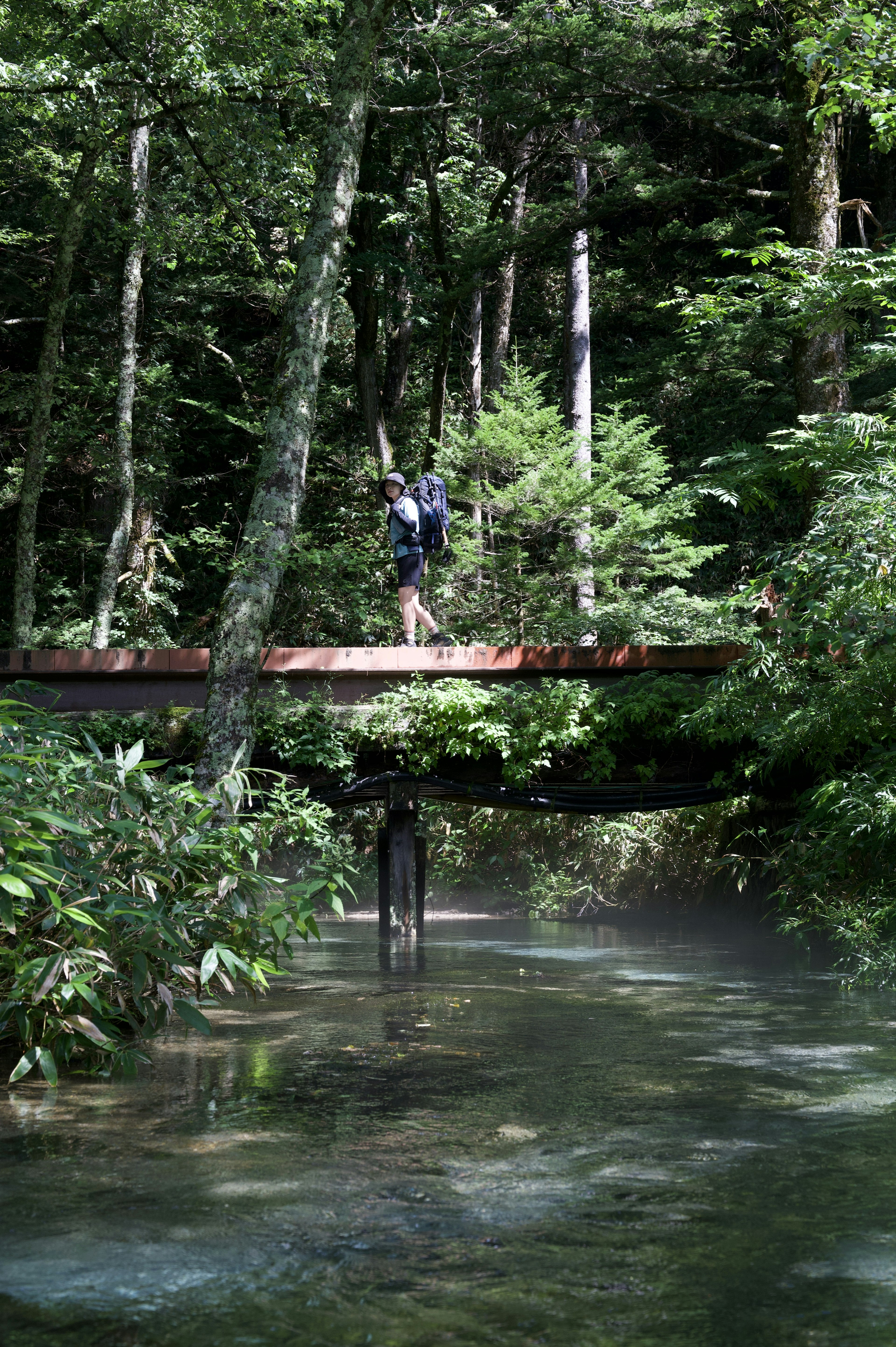 Una persona caminando sobre un puente de madera sobre un arroyo rodeado de vegetación