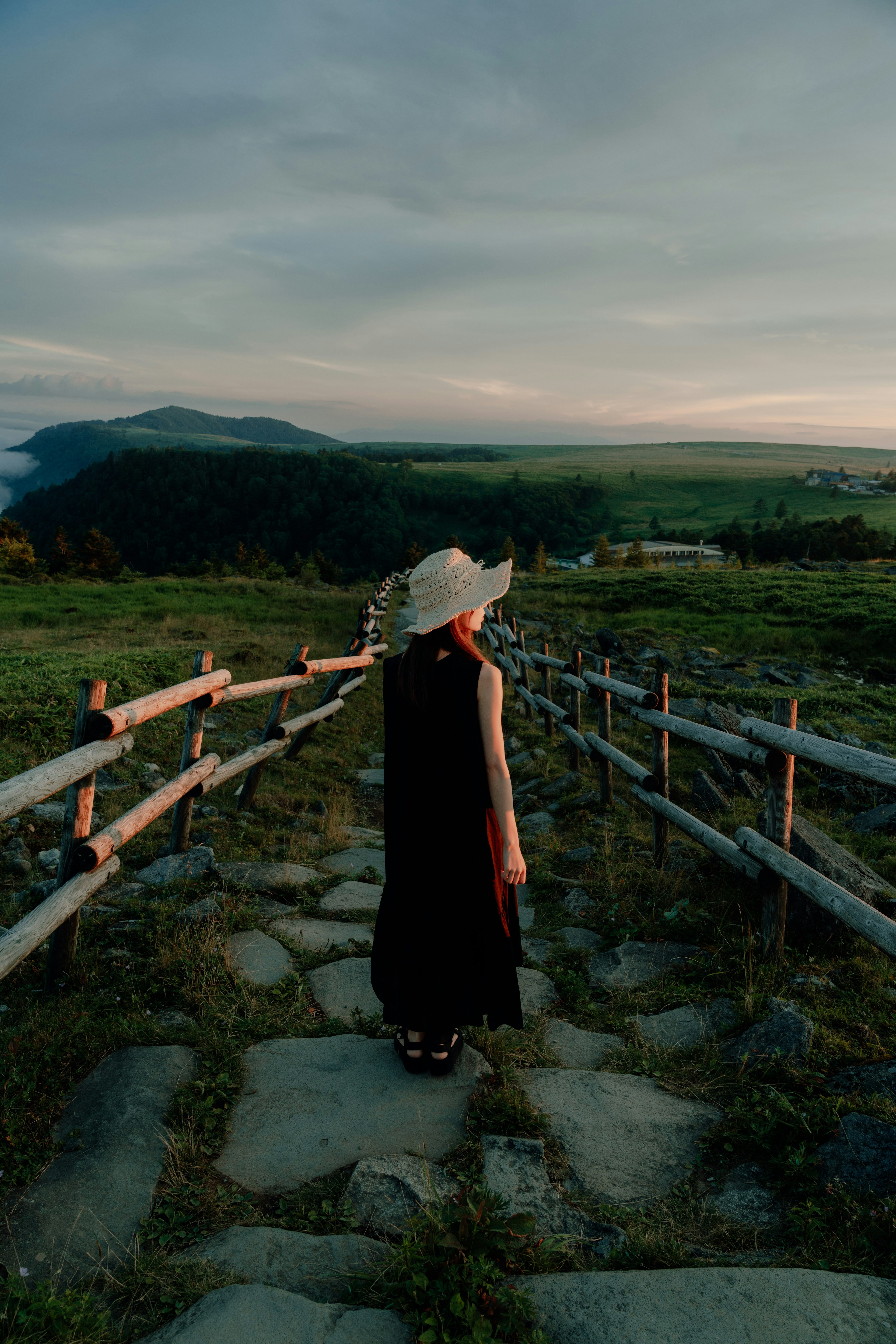 Una mujer con un vestido negro está de pie en un camino de piedras con un vasto paisaje de fondo