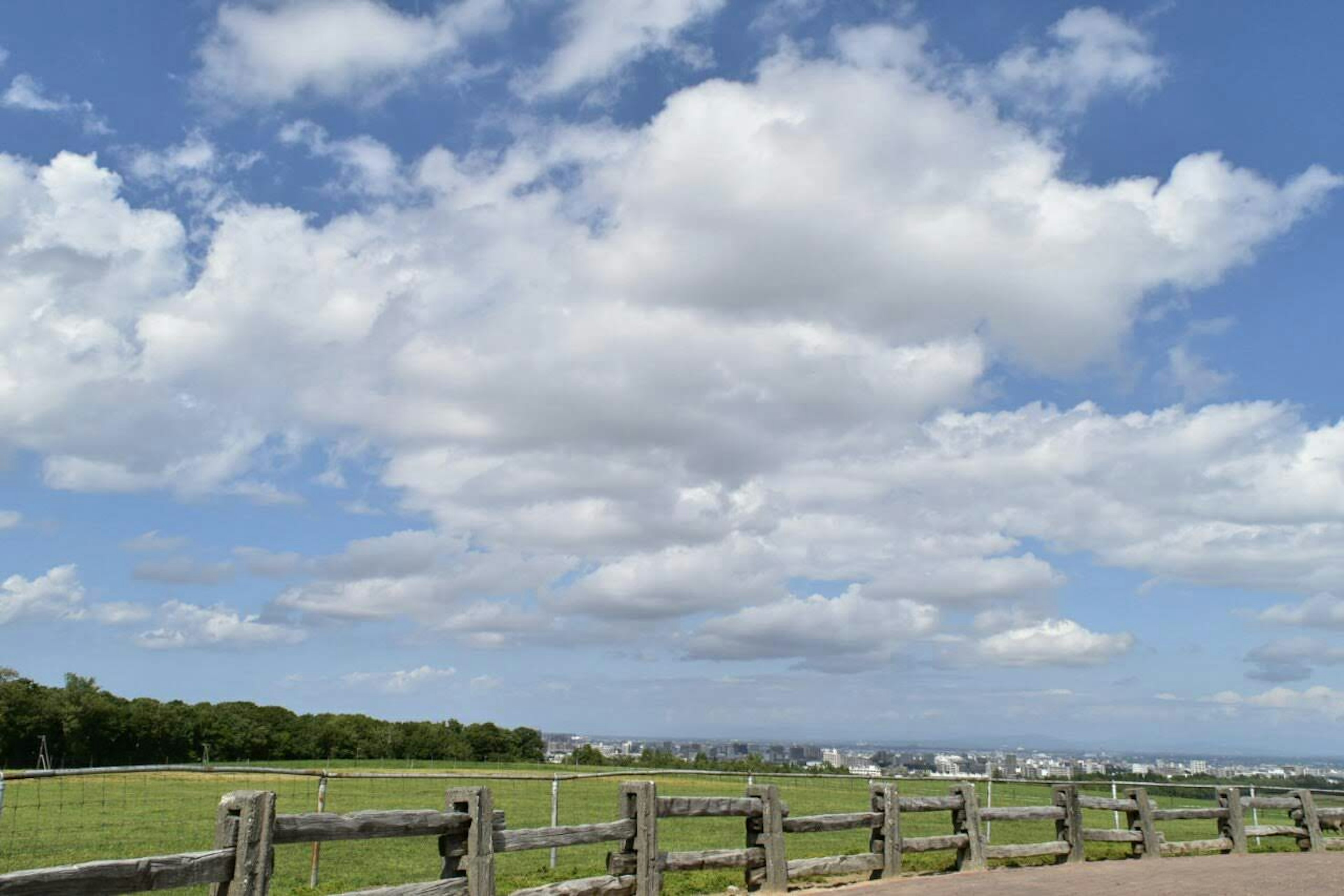 Scenic view of blue sky with fluffy white clouds green grass and trees in the background