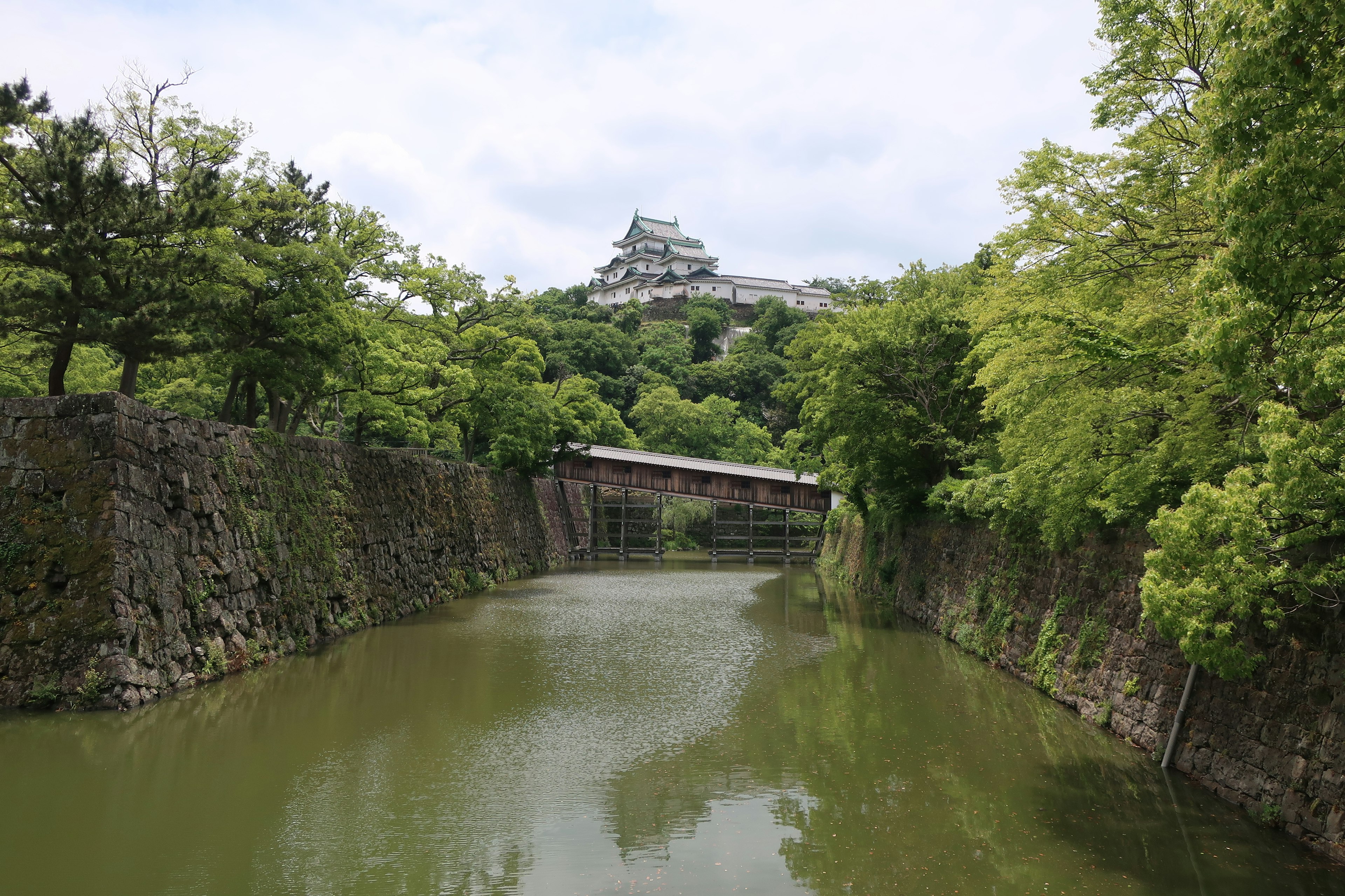 Scenic view of a quiet waterway surrounded by greenery and a castle