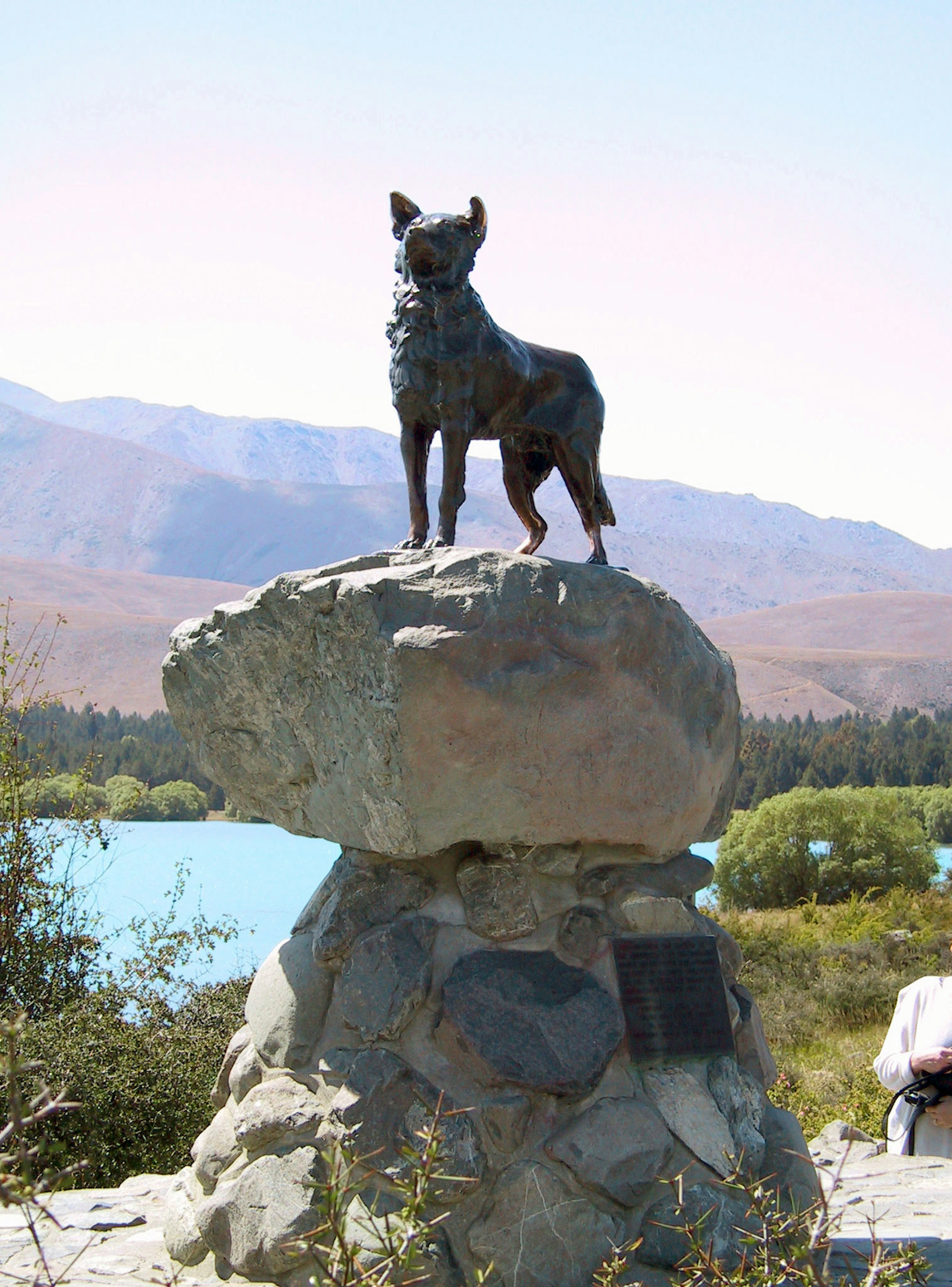 Una estatua de bronce de un perro de pie sobre una gran roca