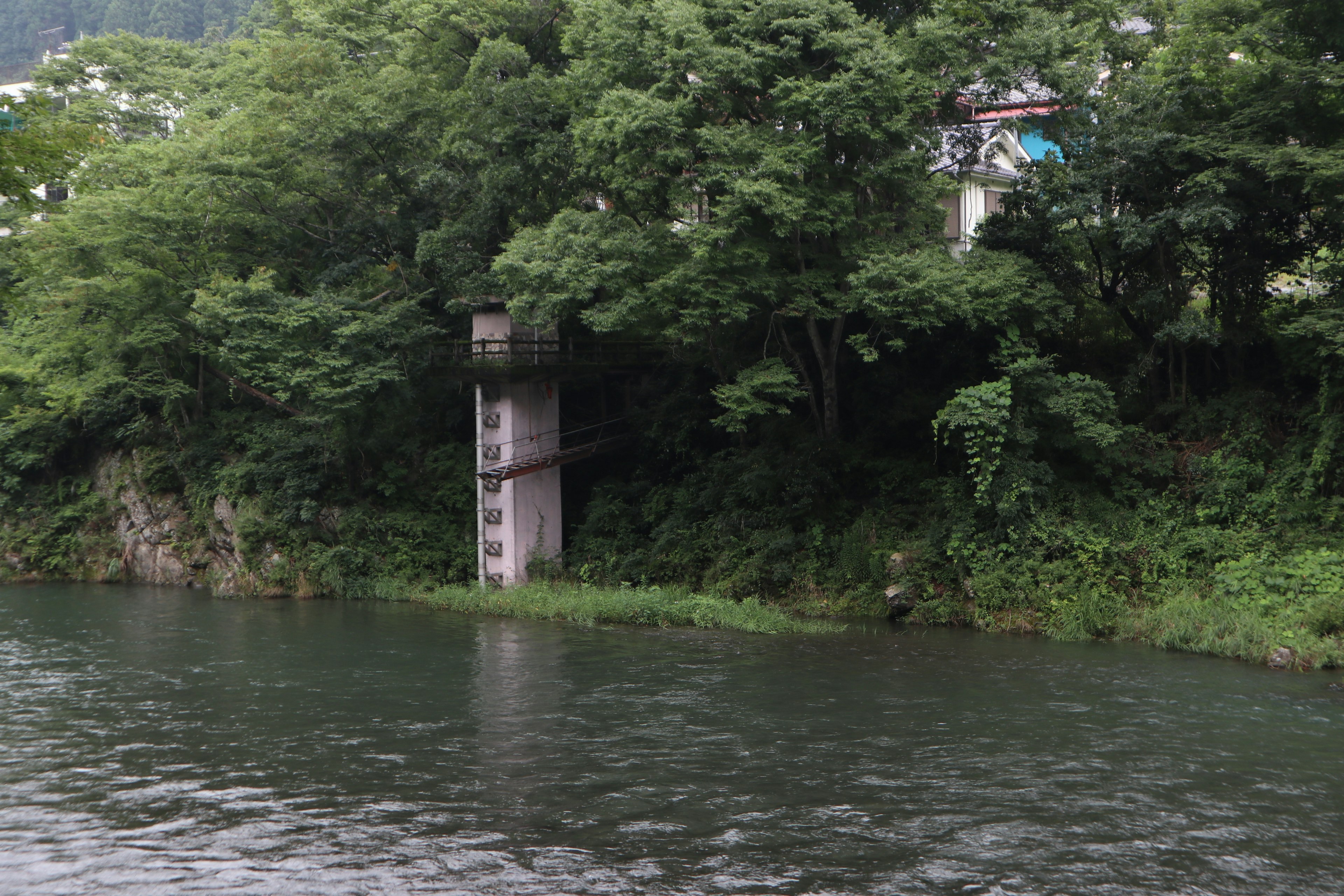 Struttura immersa tra alberi verdi lussureggianti lungo un fiume tranquillo