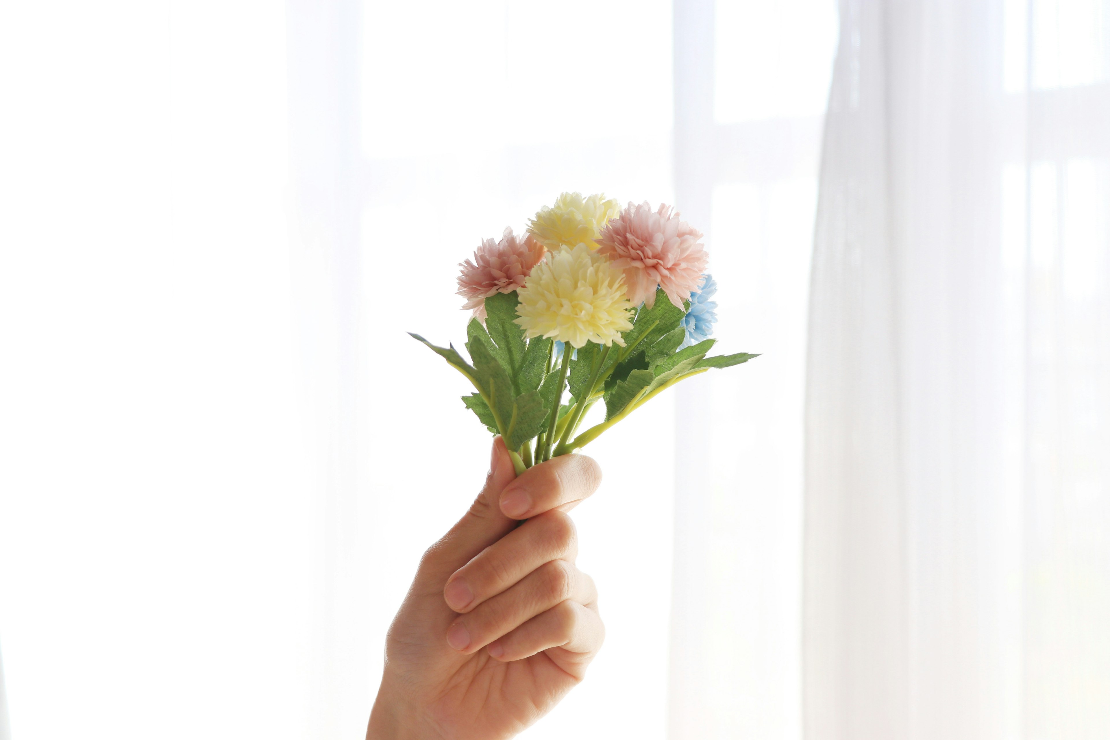 Eine Hand hält einen bunten Blumenstrauß bei sanftem natürlichem Licht