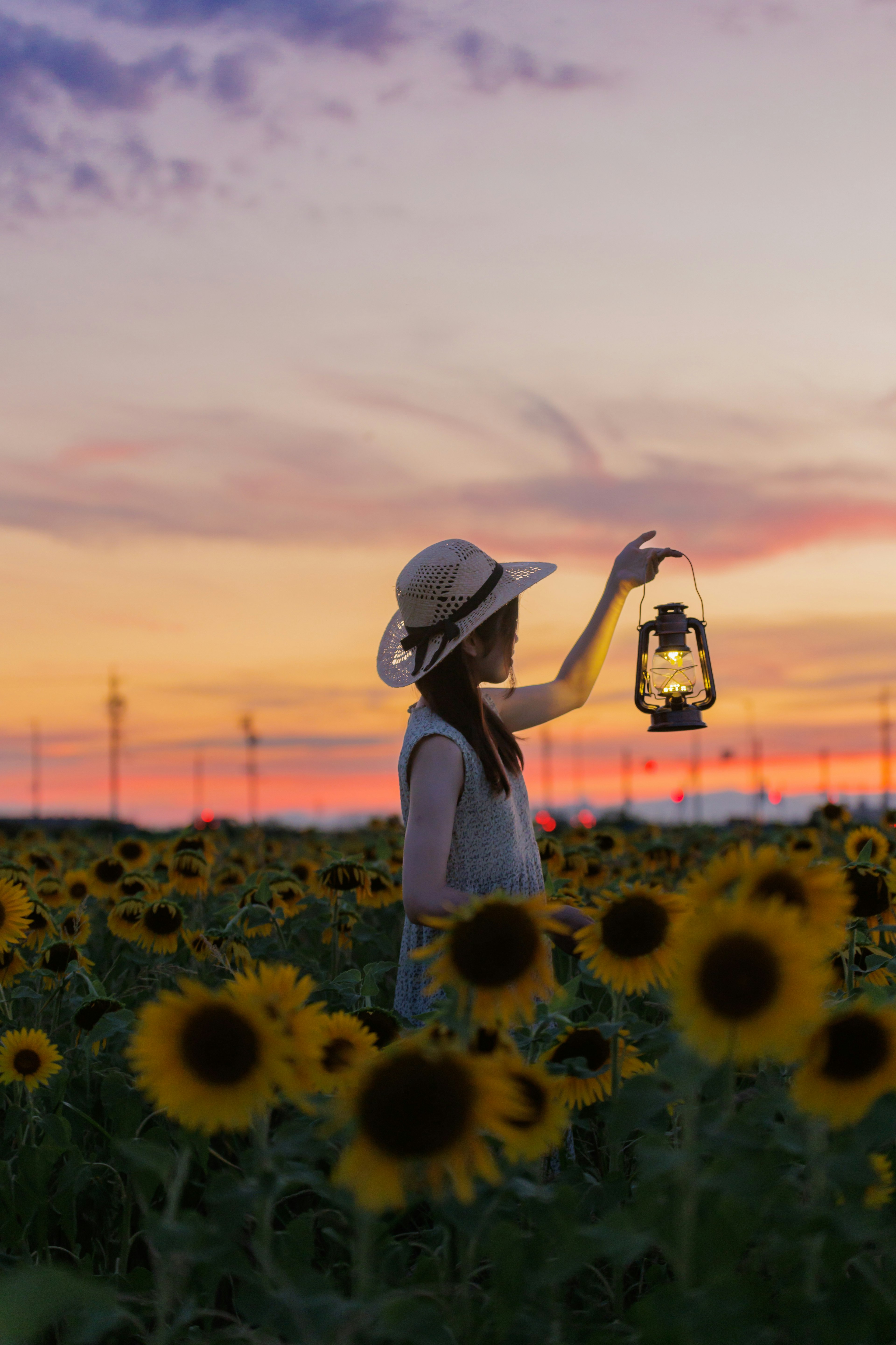 Silhouette of a woman holding a lantern in a sunflower field with a sunset background