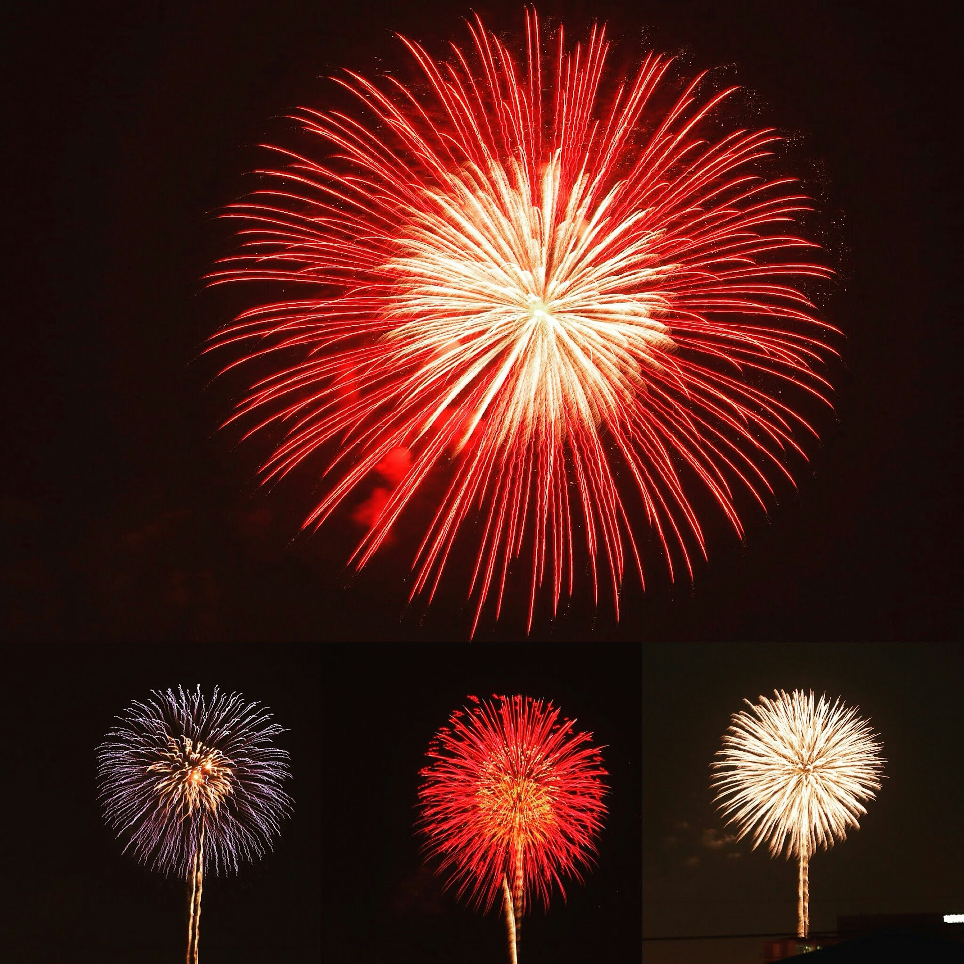 Fuochi d'artificio rossi e blu che esplodono nel cielo notturno