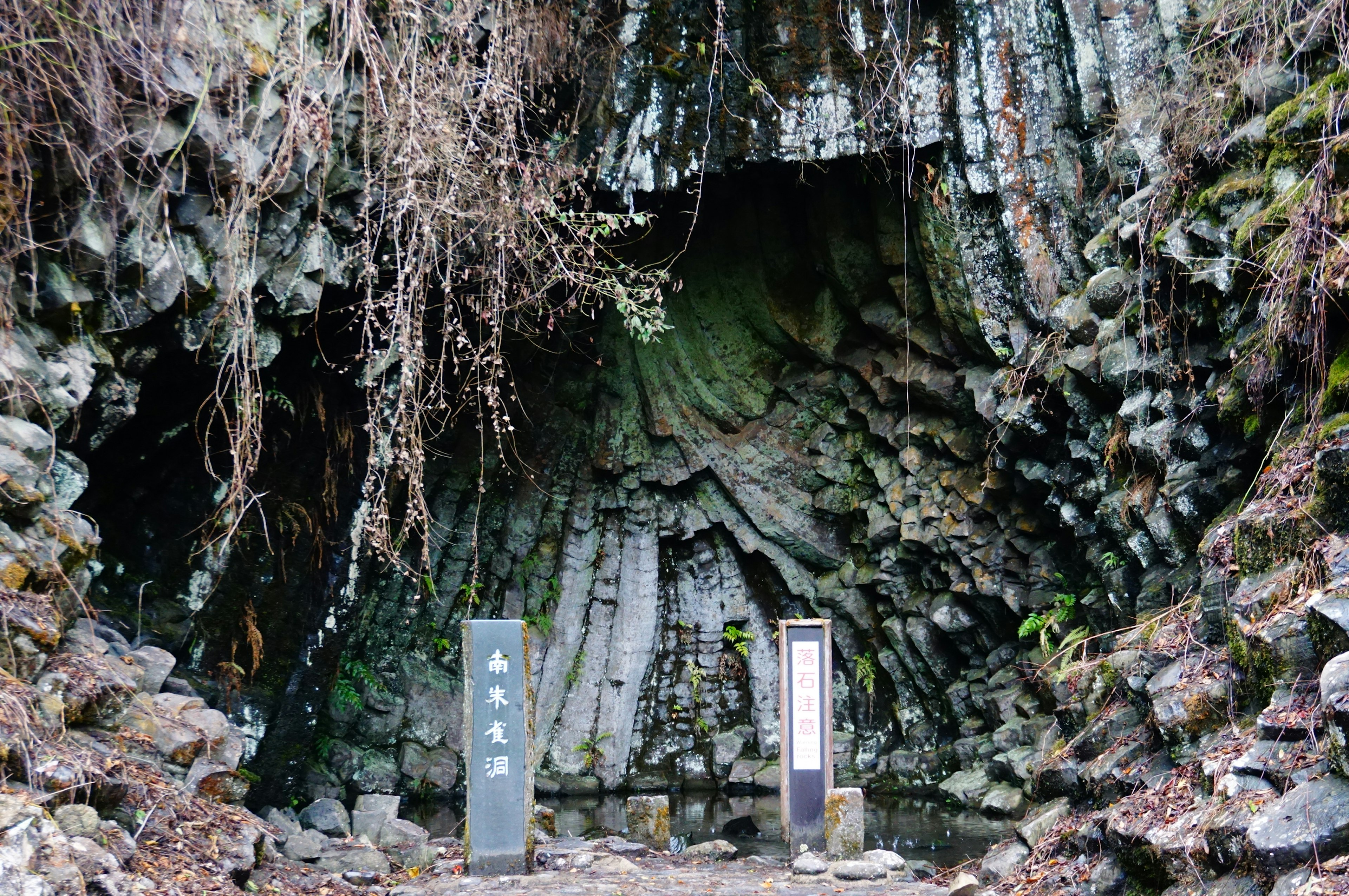 Ingresso di una grotta naturale con rocce verdi e piante rampicanti