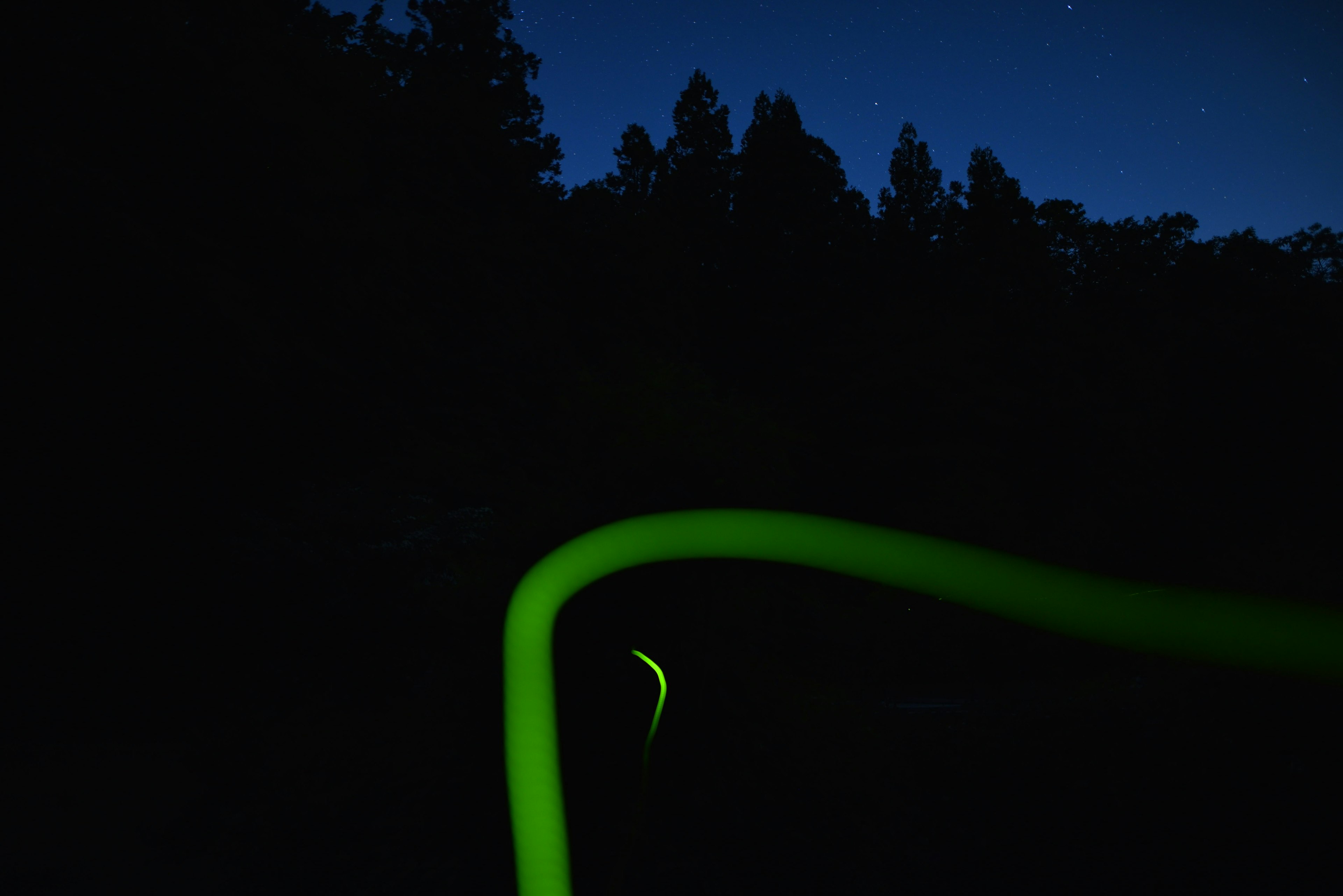 Scène nocturne d'une forêt sombre avec une ligne verte lumineuse en courbe