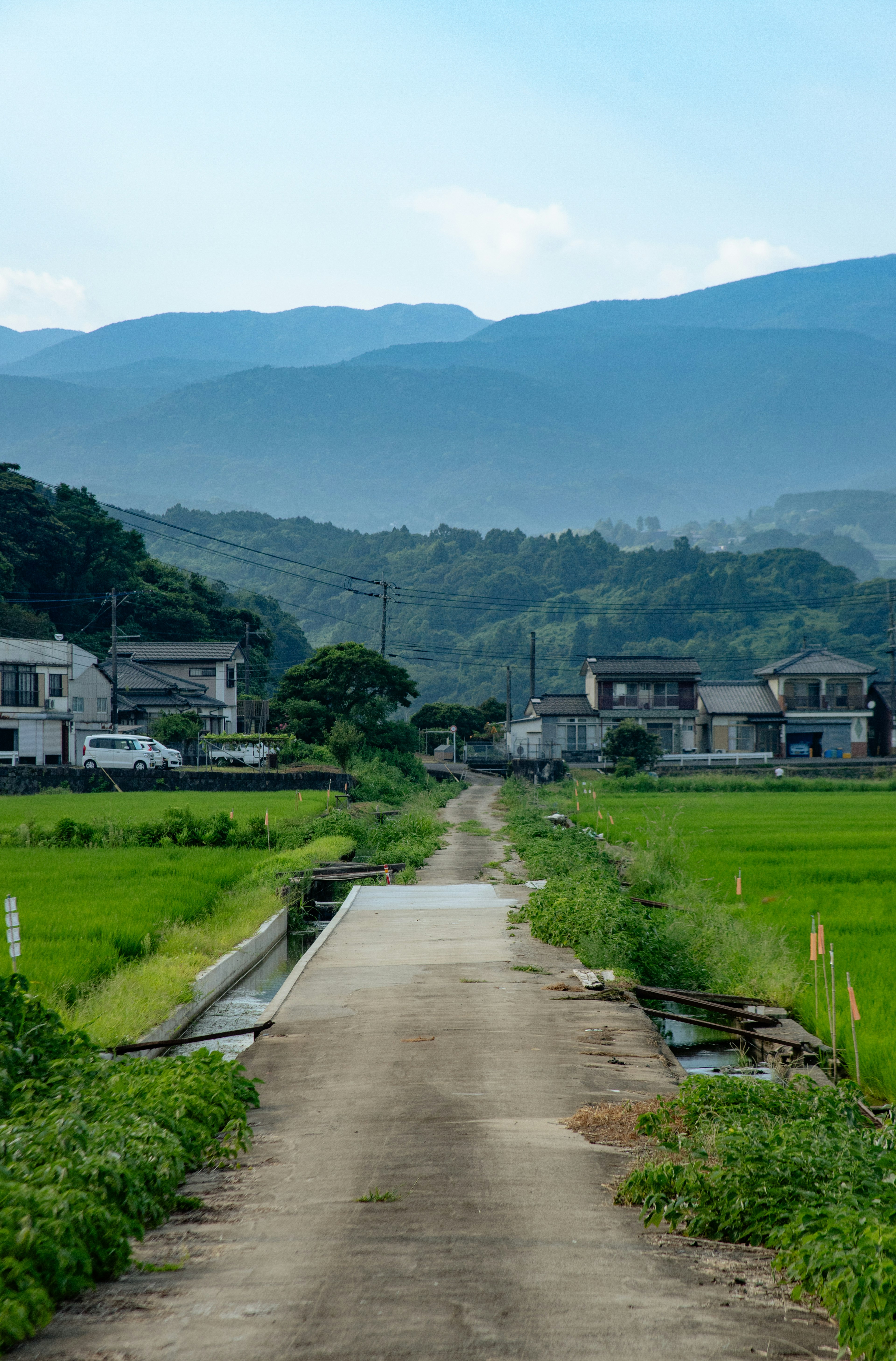 Paved road that leads through green rice fields with distant mountains