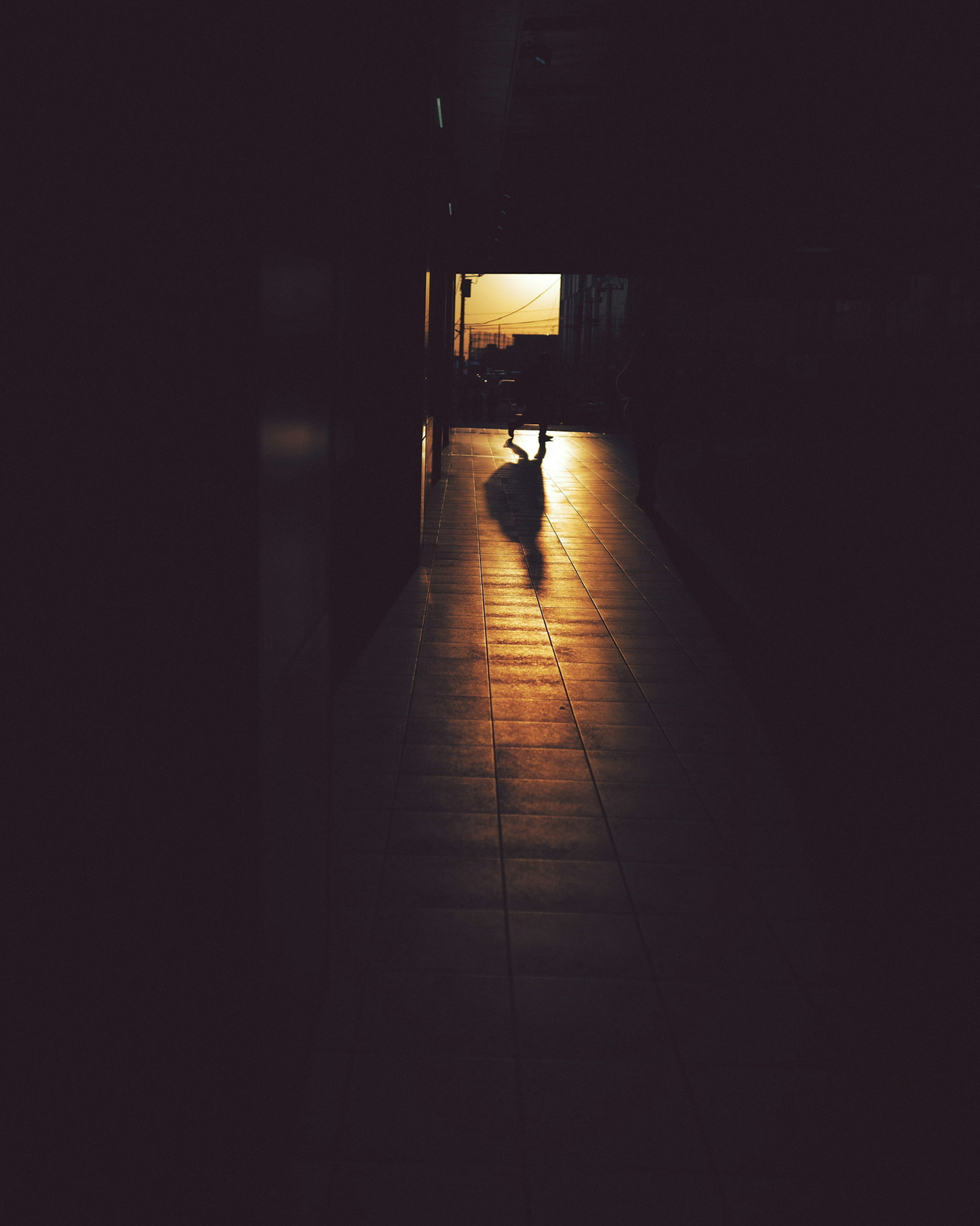 Silhouette of a cat in a dark hallway with light at the end