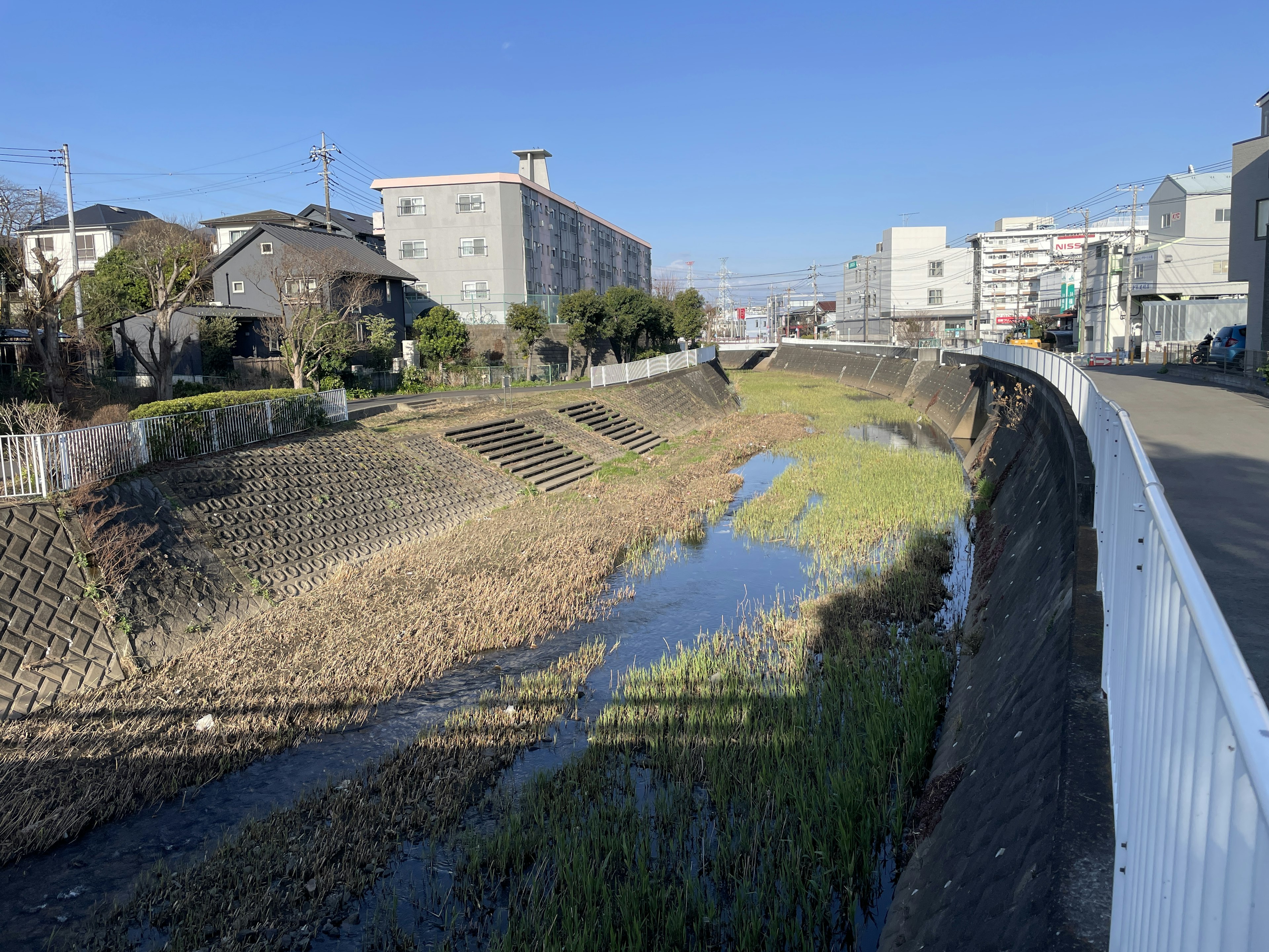 周围有建筑和绿化的河流景观