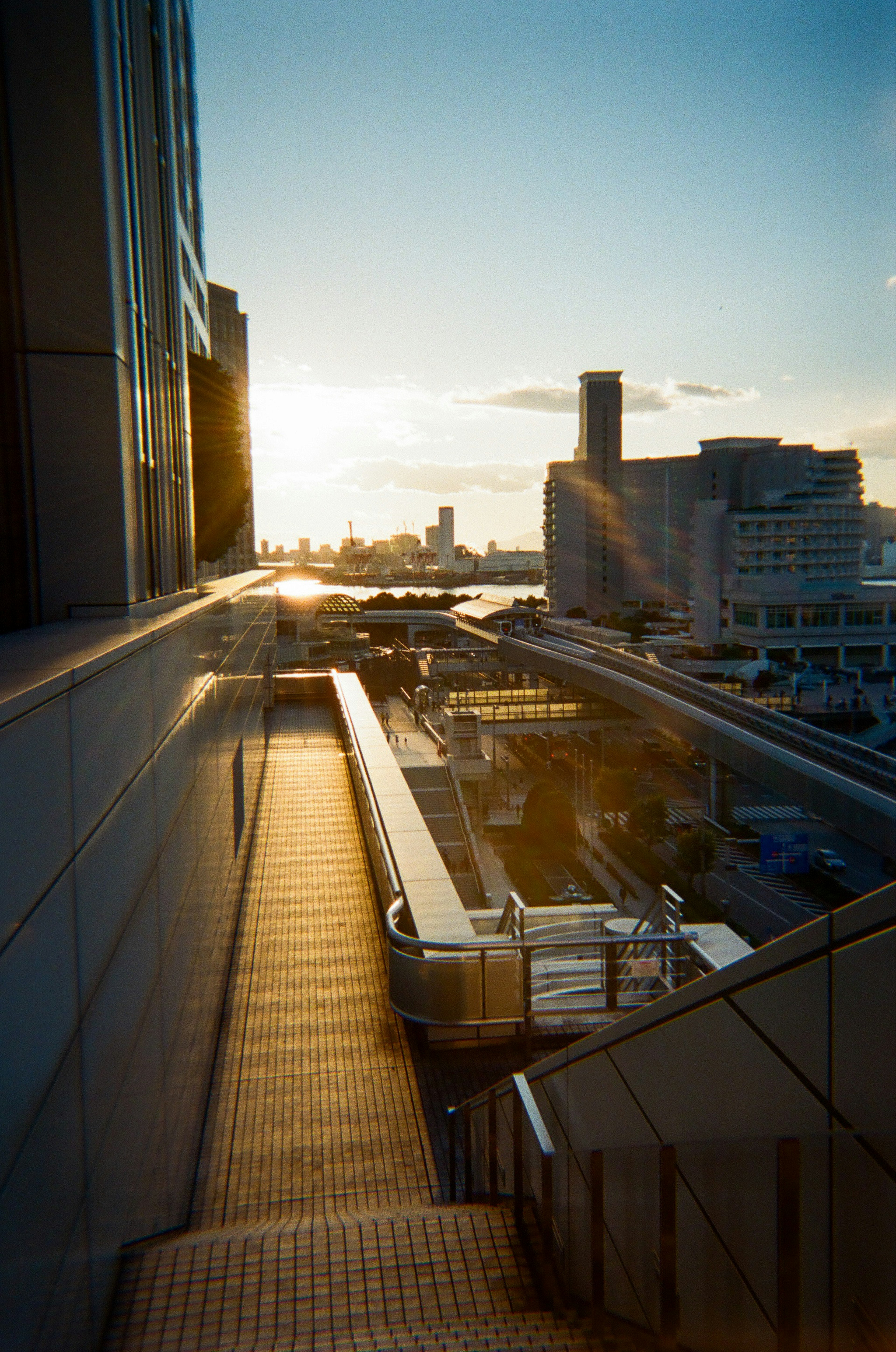 夕日が映える都市の景色と近代的な建物の構造