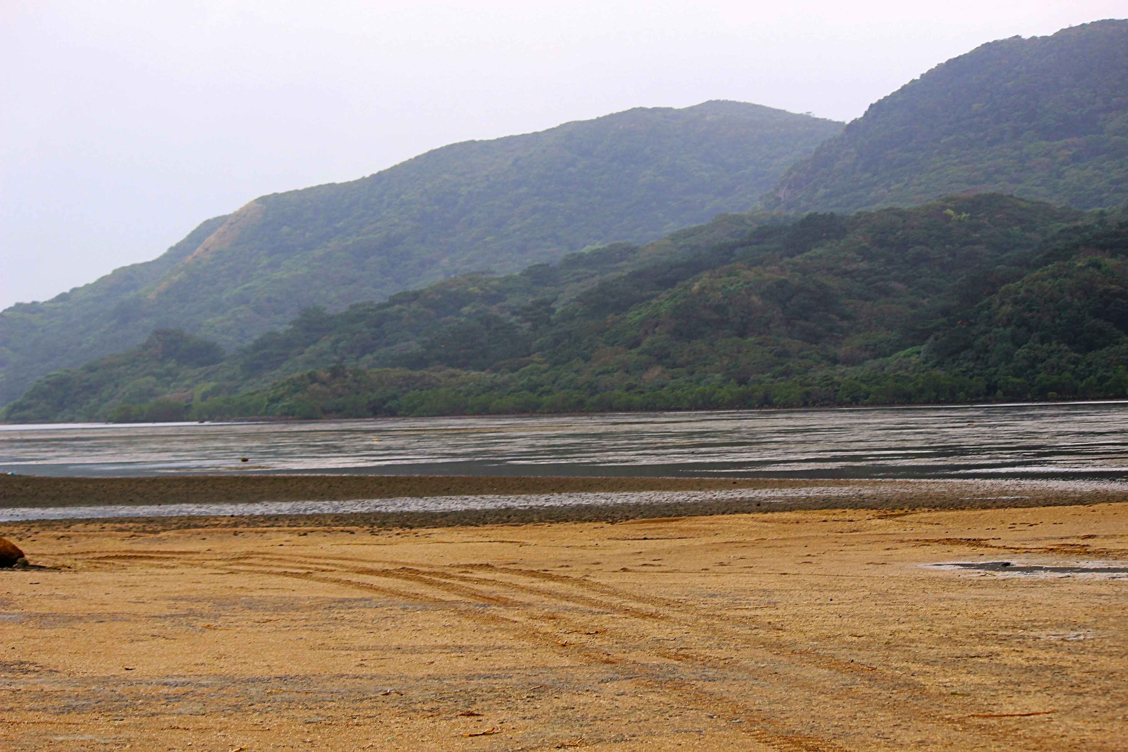 Pantai tenang dengan gunung dan lahan basah