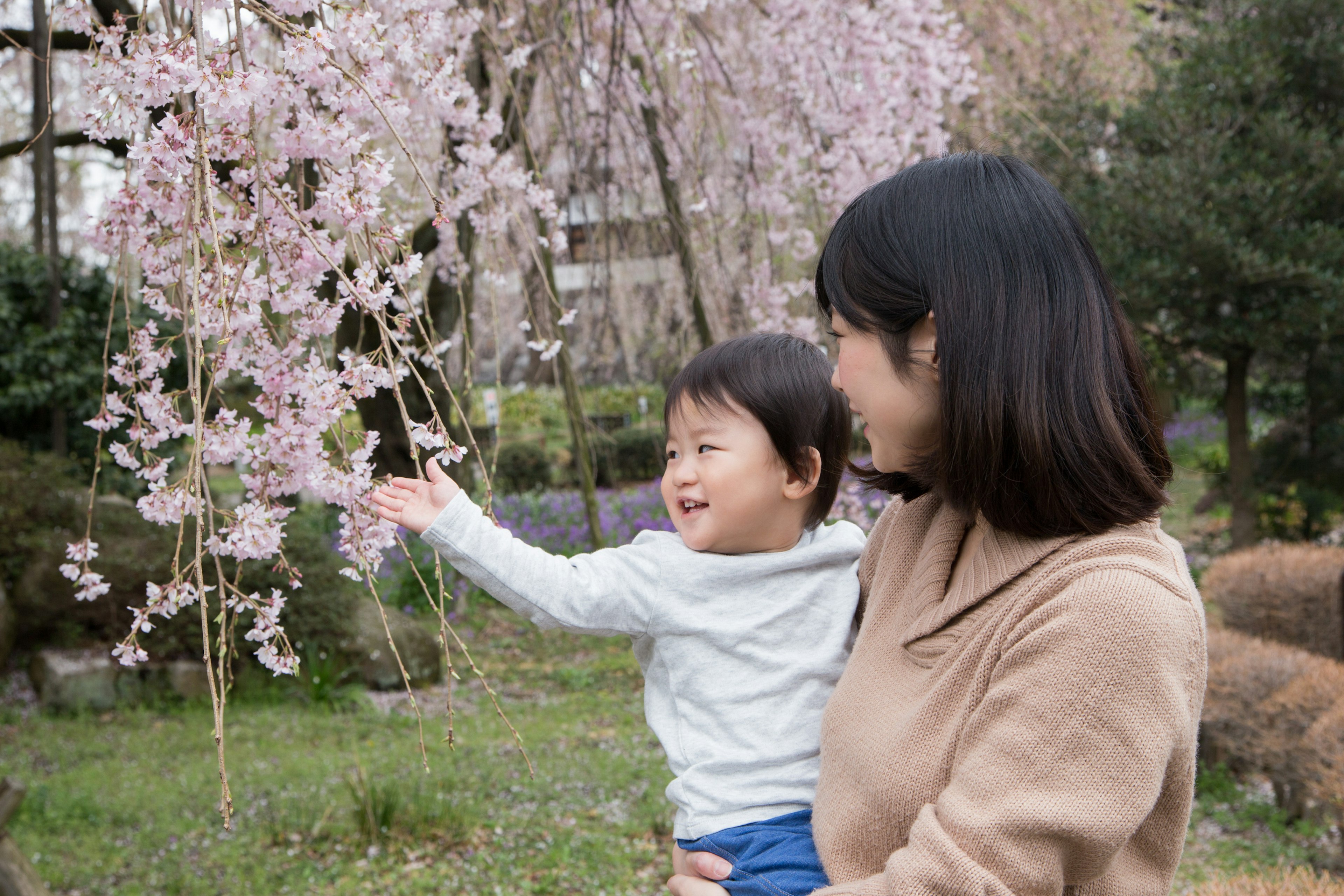 Eine Mutter und ihr Kind genießen Kirschblüten in einem Park