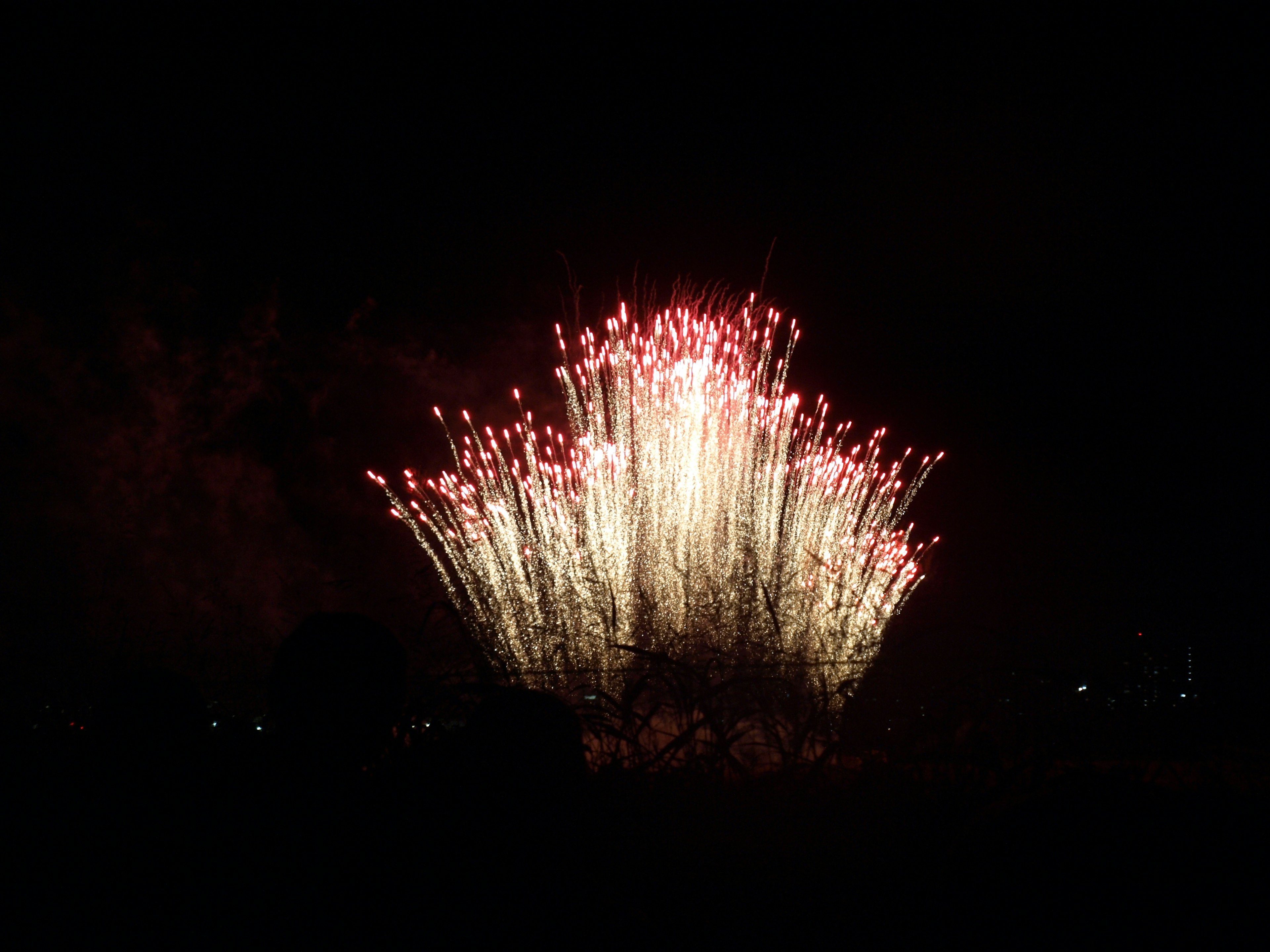 夜空に広がる花火の美しい光のショー