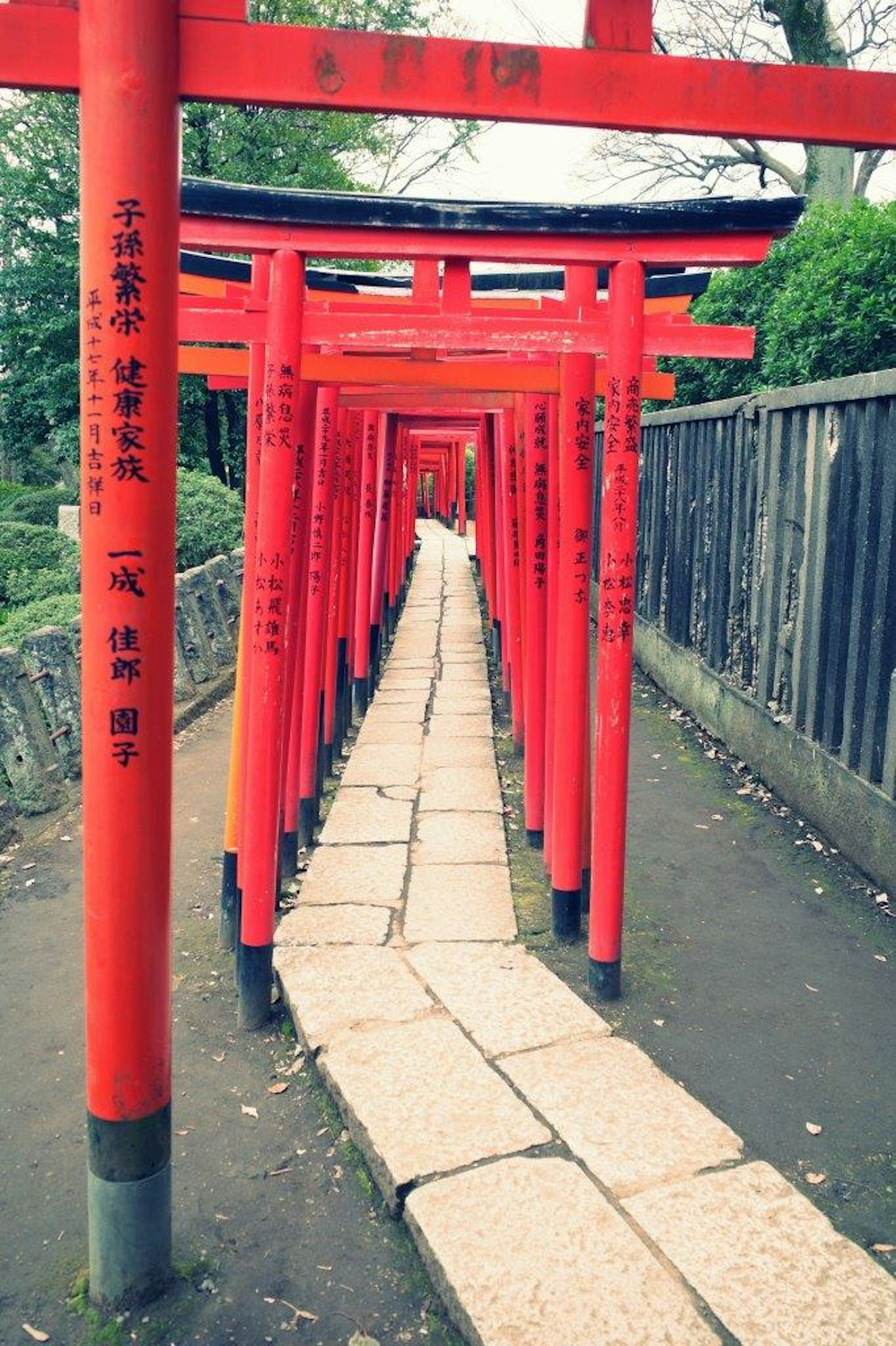 鳥居が並ぶ道と石の舗装の小道