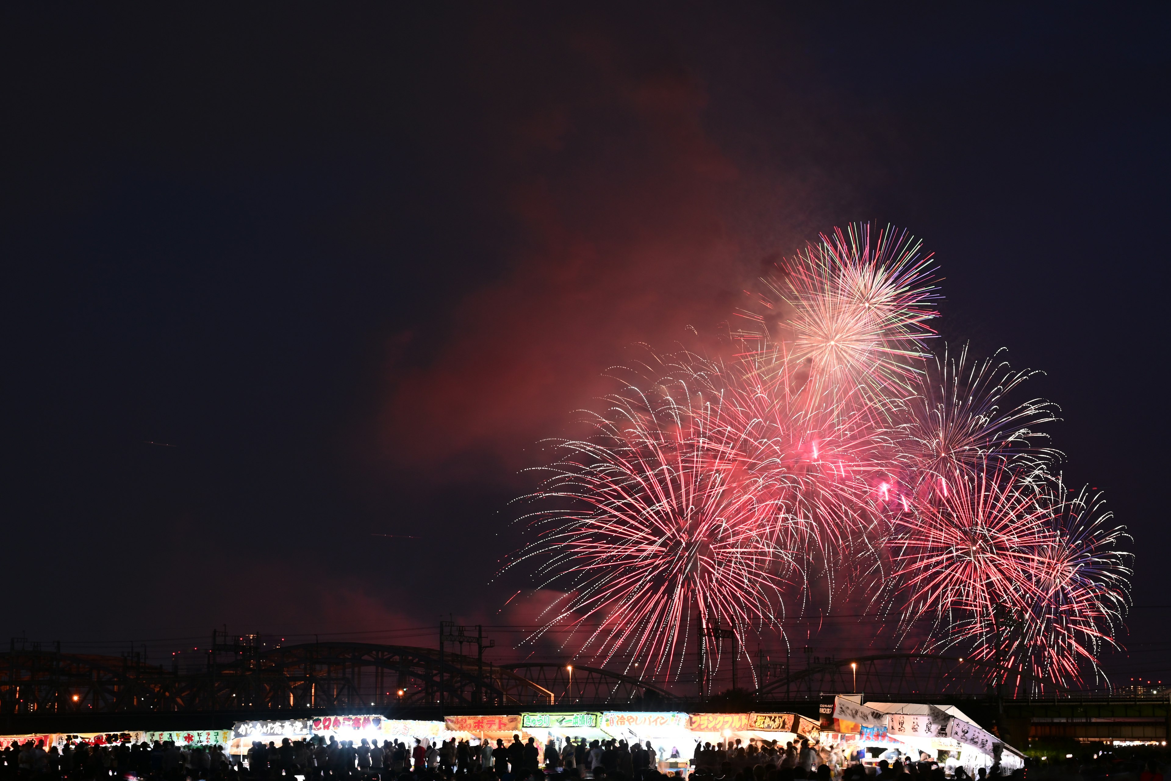 Des feux d'artifice colorés illuminent le ciel nocturne dans un spectacle spectaculaire