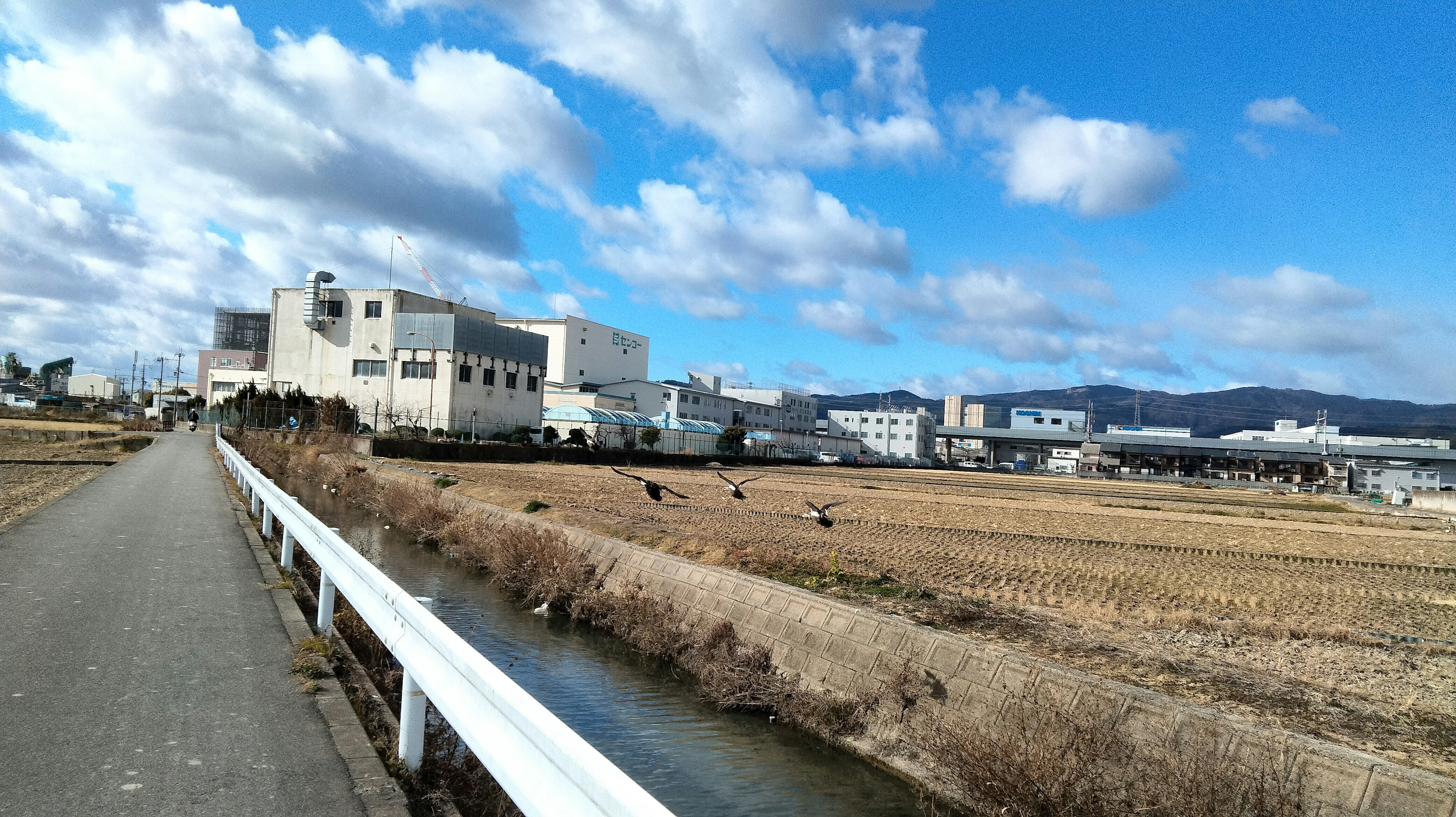 田んぼと工場が見える風景 青空と雲が広がる