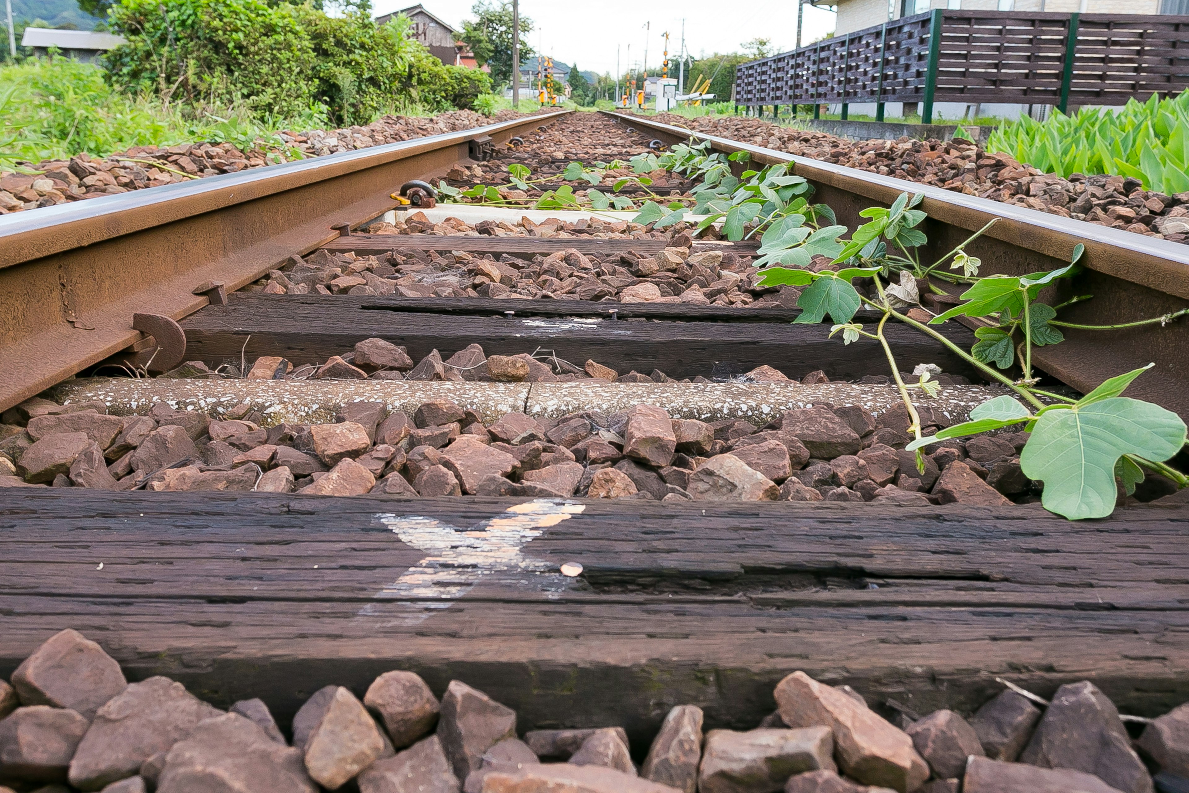 รางรถไฟที่มีกรวดและพืชสีเขียวด้านข้าง